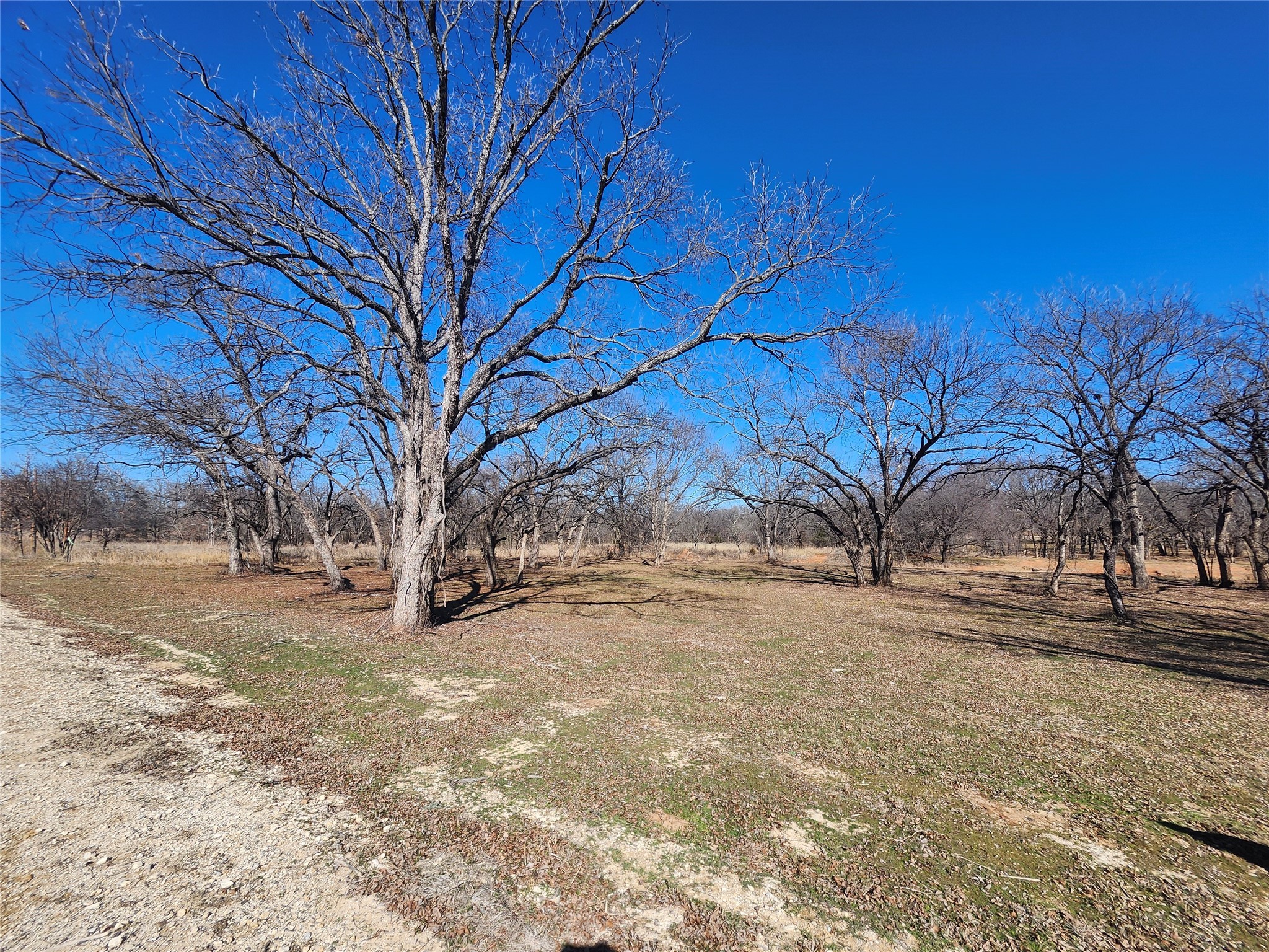 122 Comanche Trail Nocona TX 76255