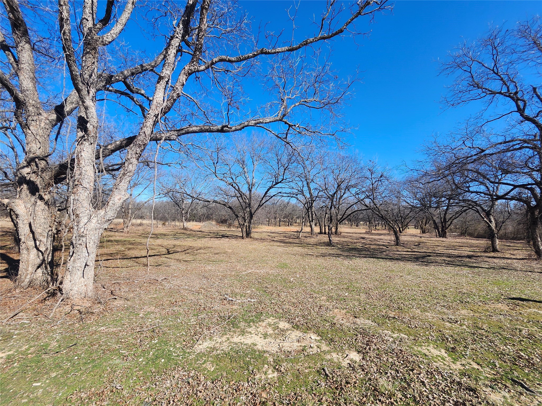 122 Comanche Trail Nocona TX 76255