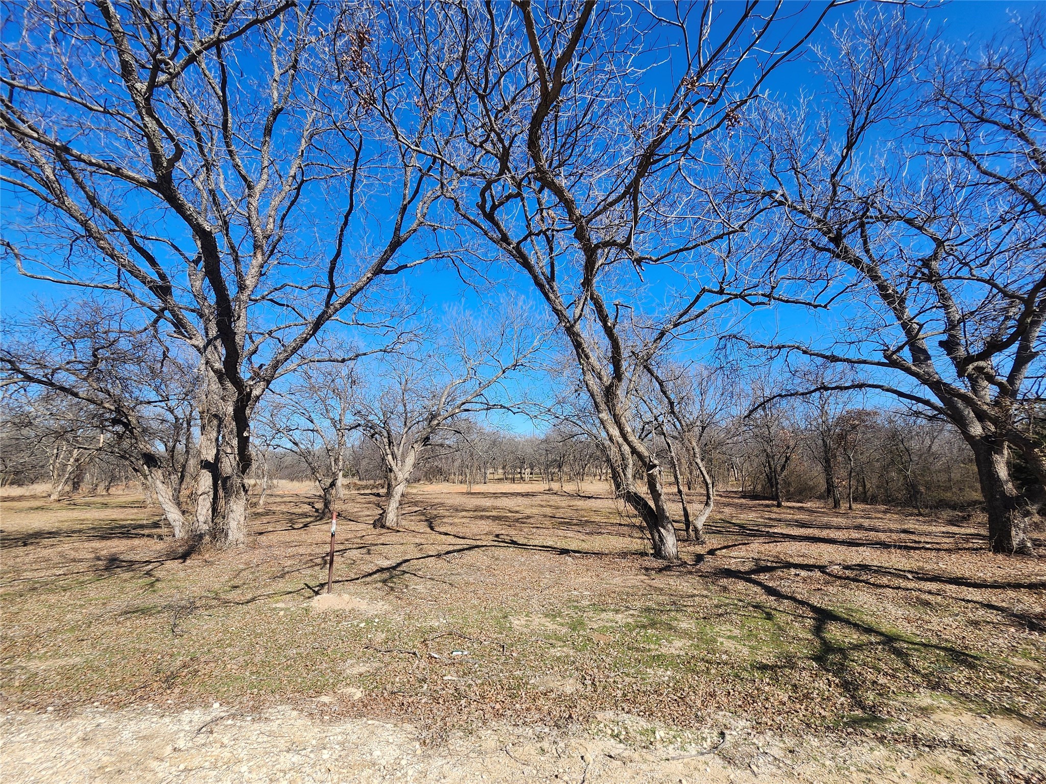122 Comanche Trail Nocona TX 76255