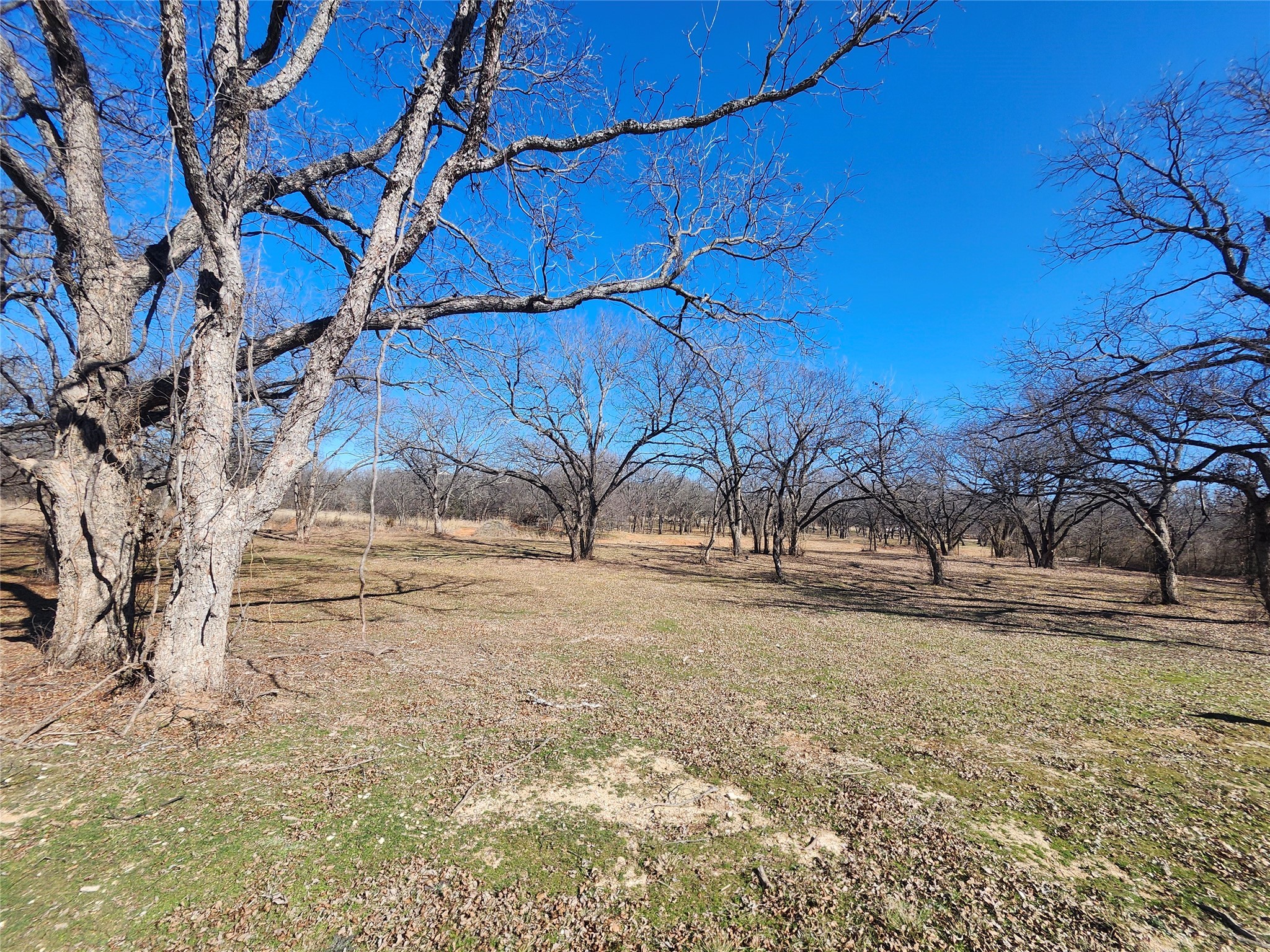 122 Comanche Trail Nocona TX 76255