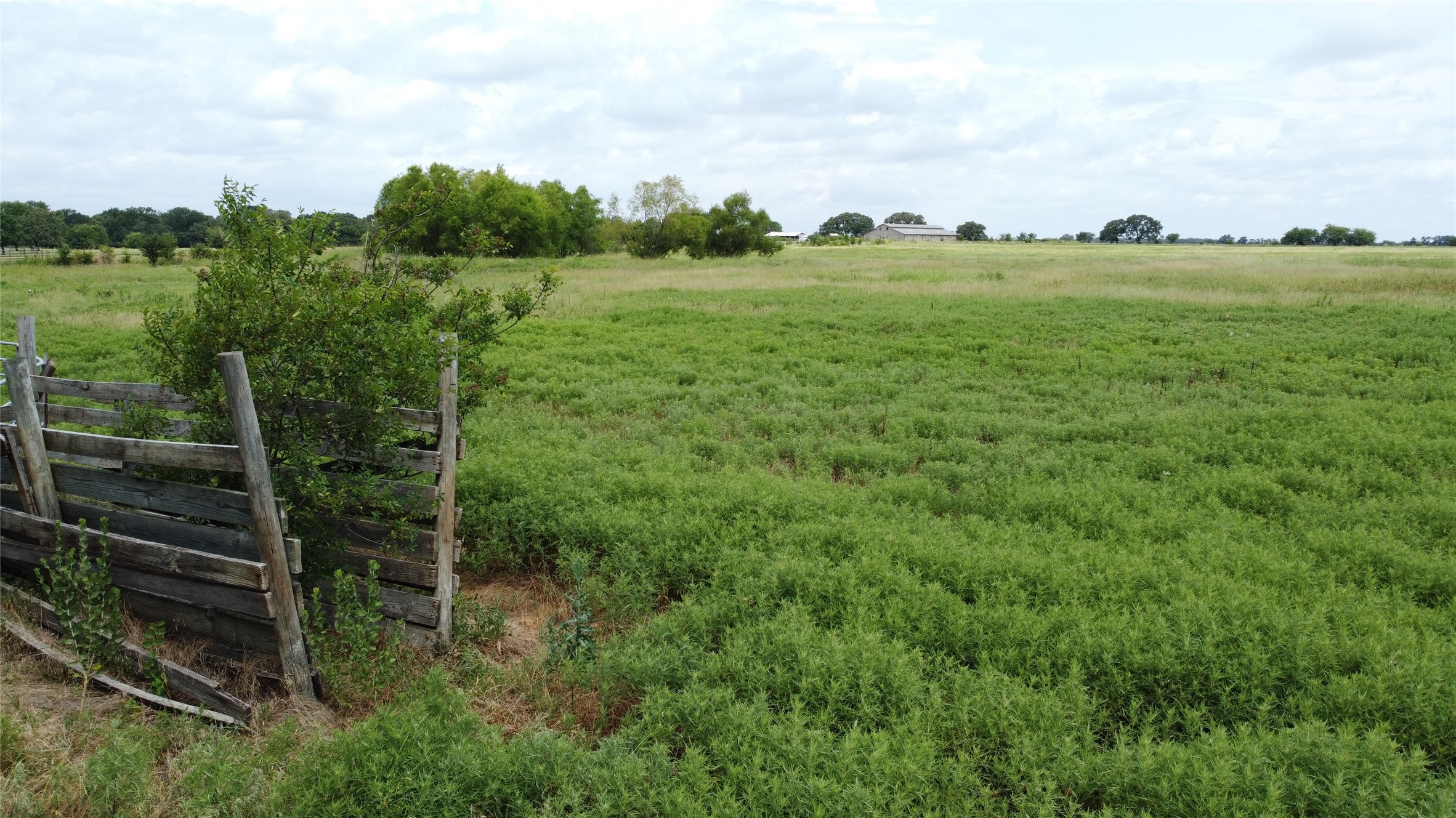 Tbd Bell Road Pilot Point TX 76258