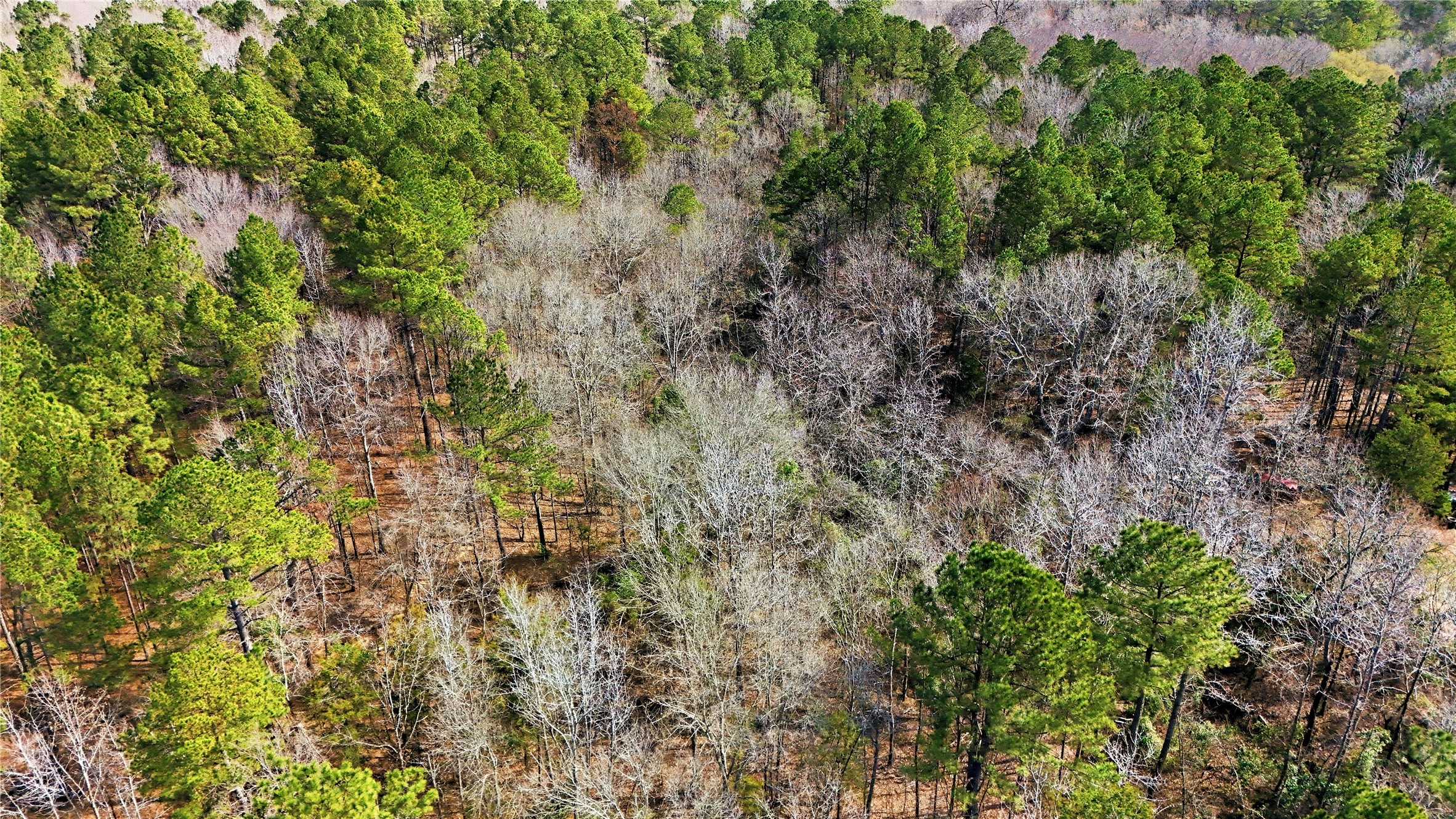Tbd County Rd 4122 Road Lindale TX 75771