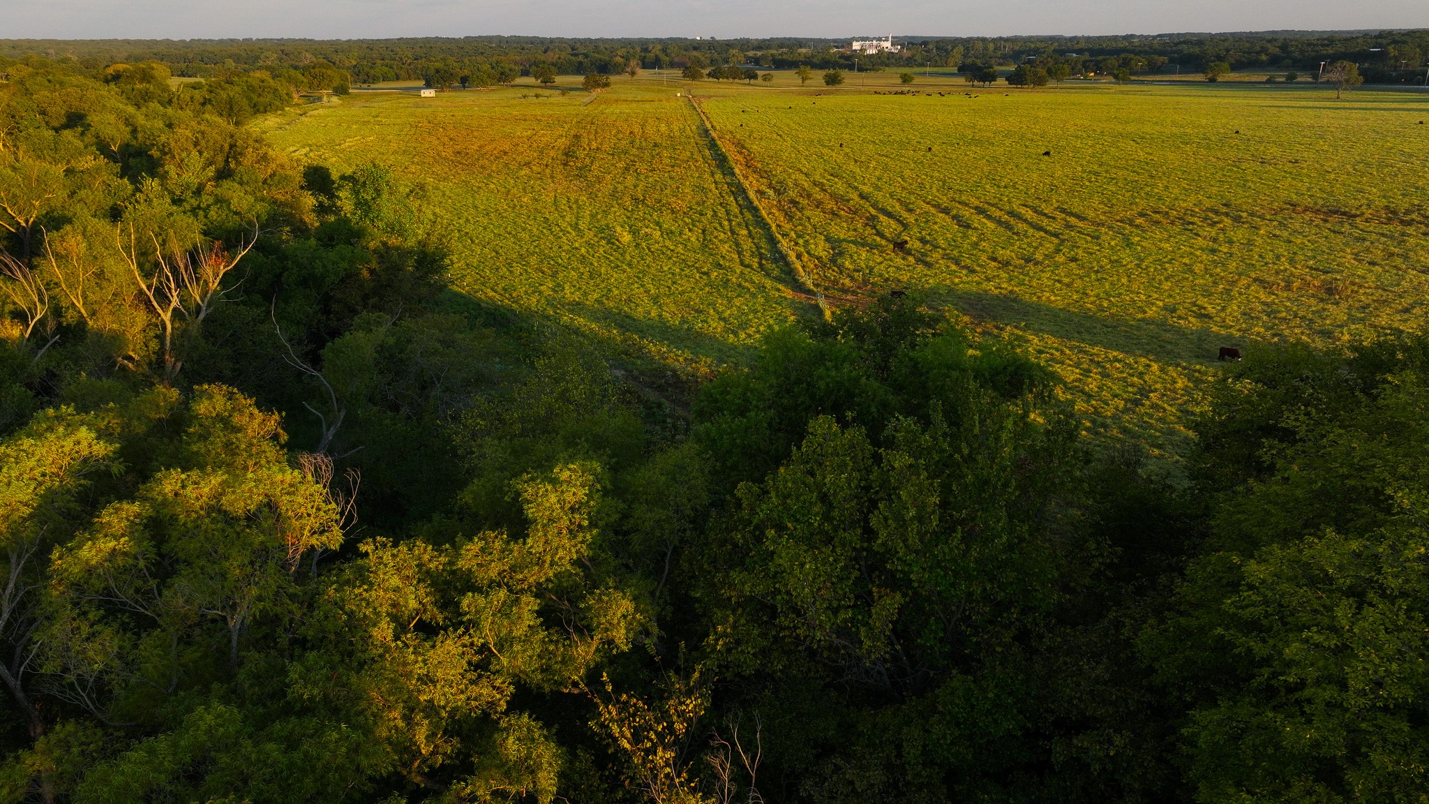 675 A Hundley Road Montague TX 76251