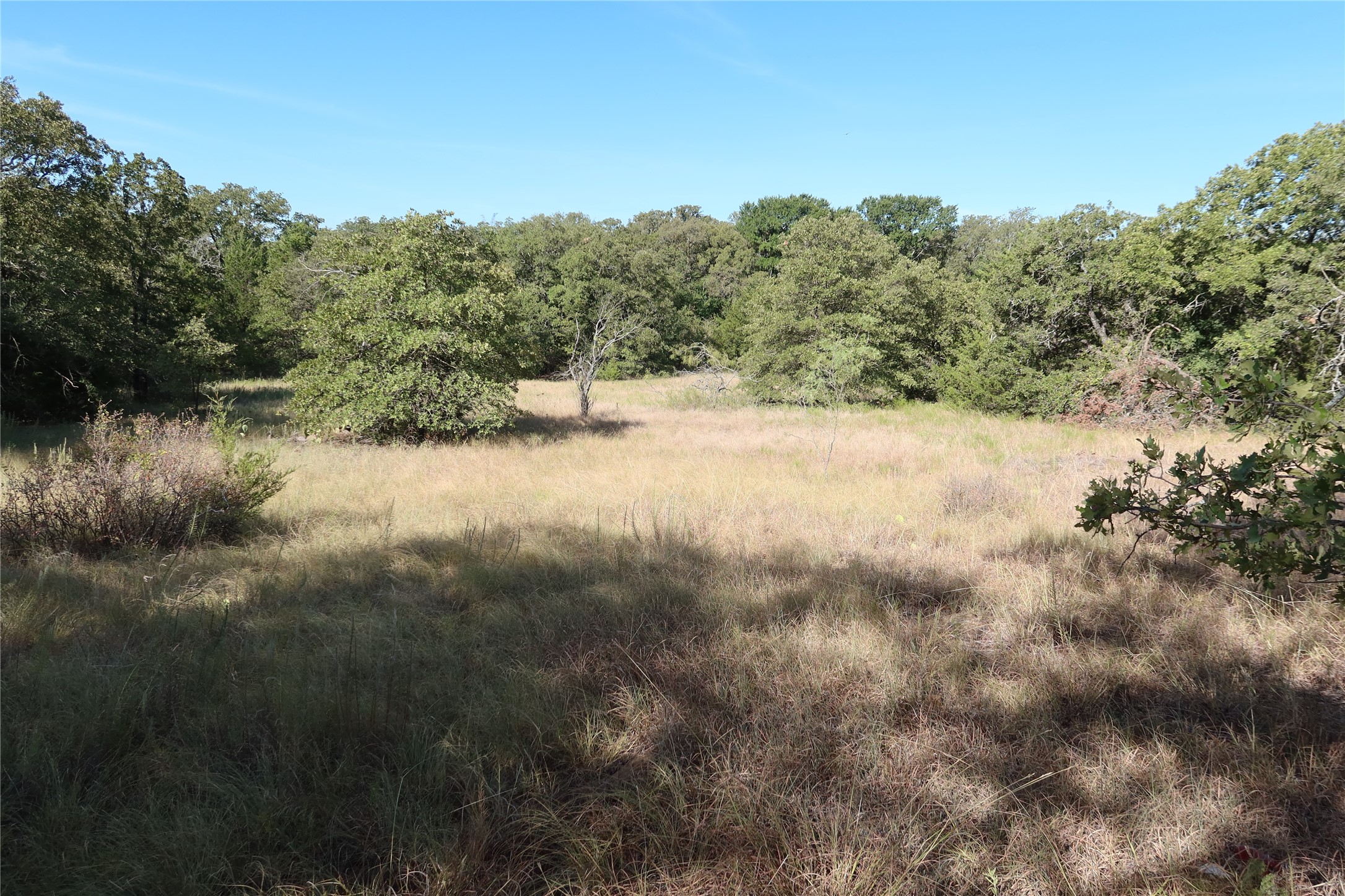 Tbd Pecan Bowie TX 76230
