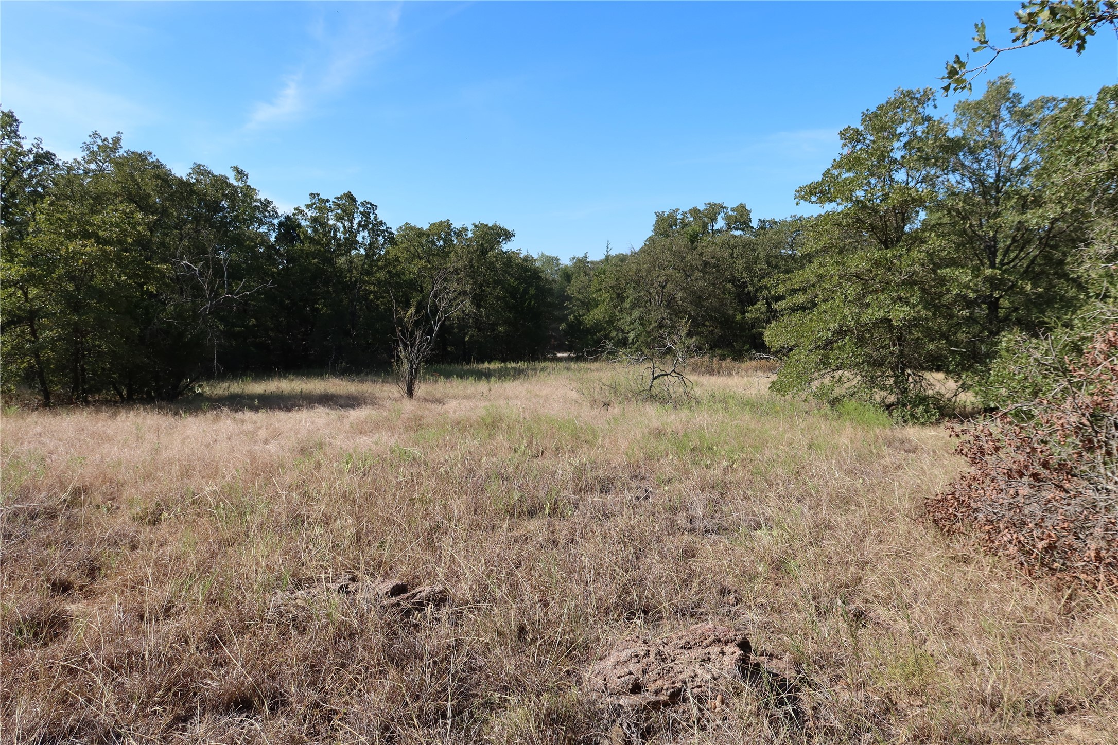 Tbd Pecan Bowie TX 76230
