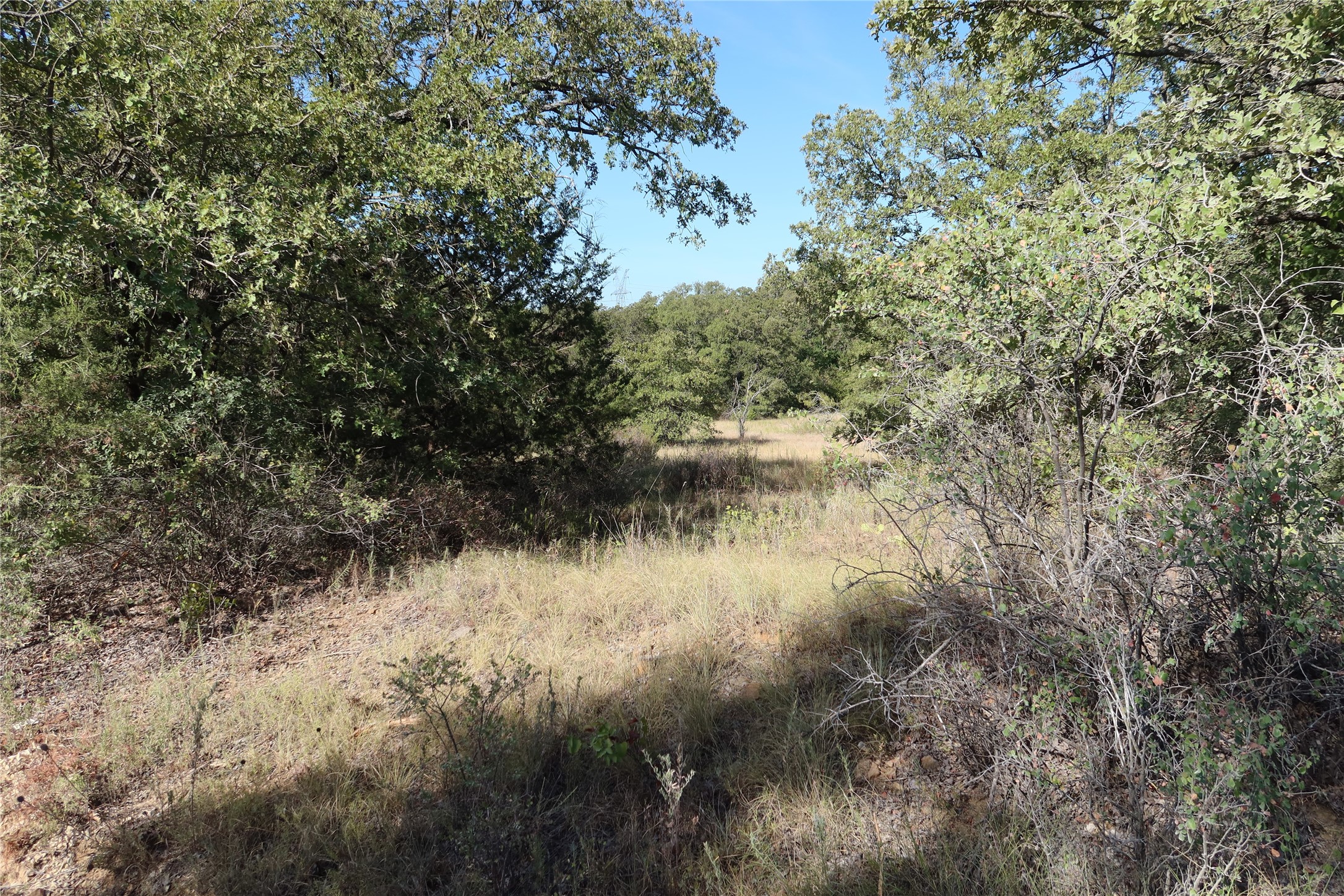 Tbd Pecan Bowie TX 76230