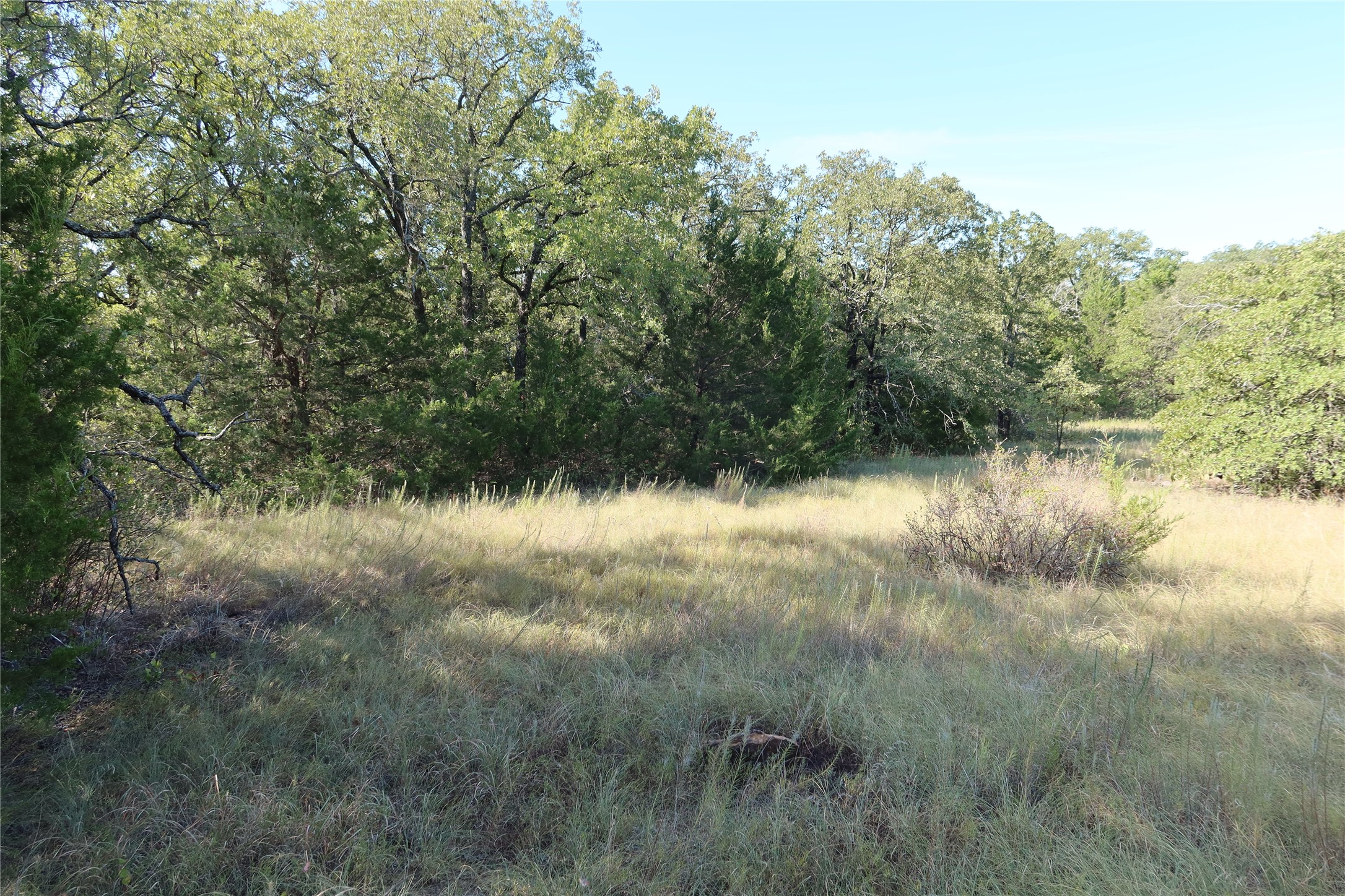 Tbd Pecan Bowie TX 76230