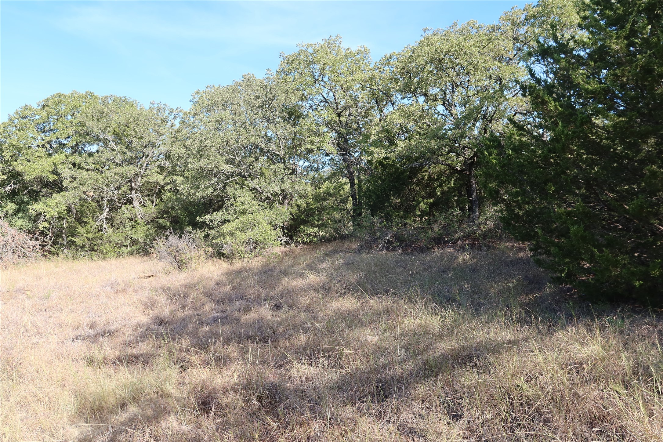 Tbd Pecan Bowie TX 76230