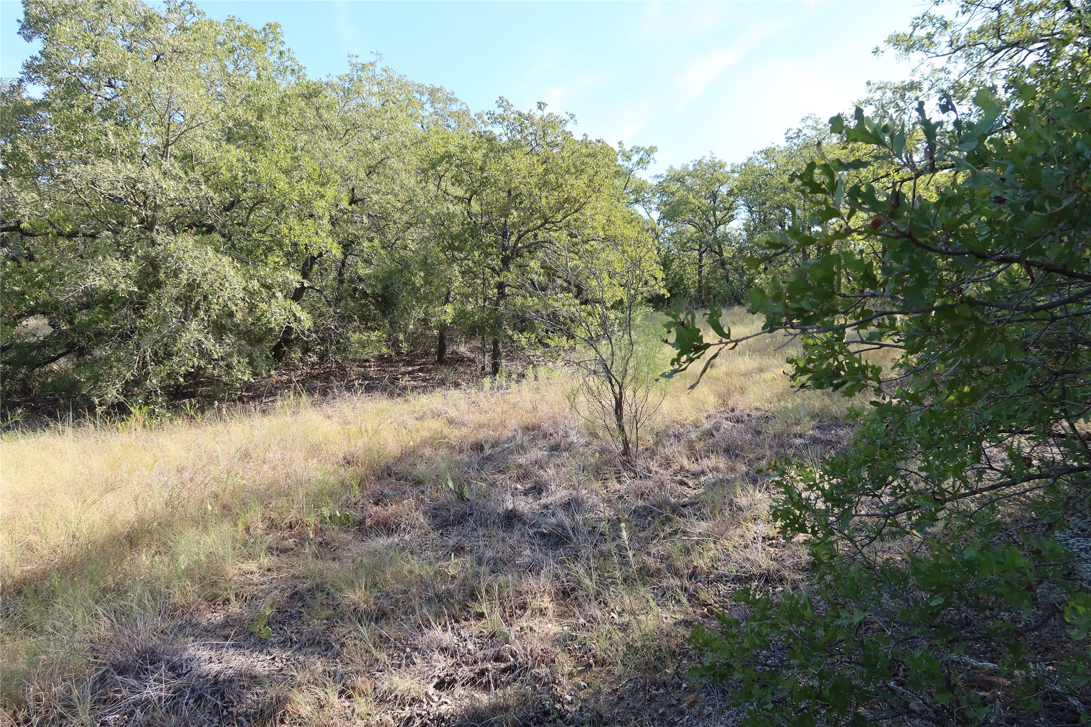 Tbd Pecan Bowie TX 76230