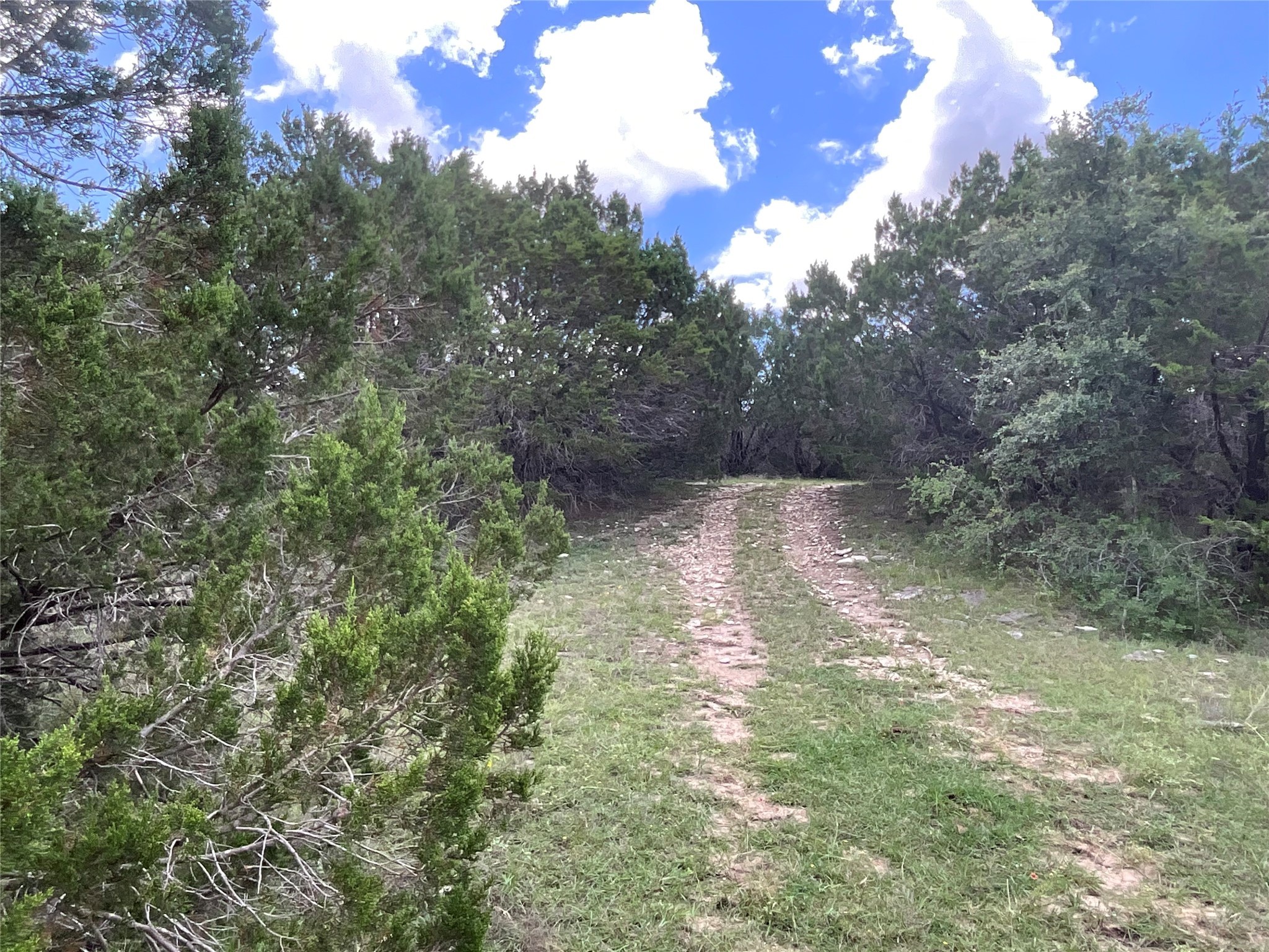 Tbd Fm 2486 Gustine TX 76455