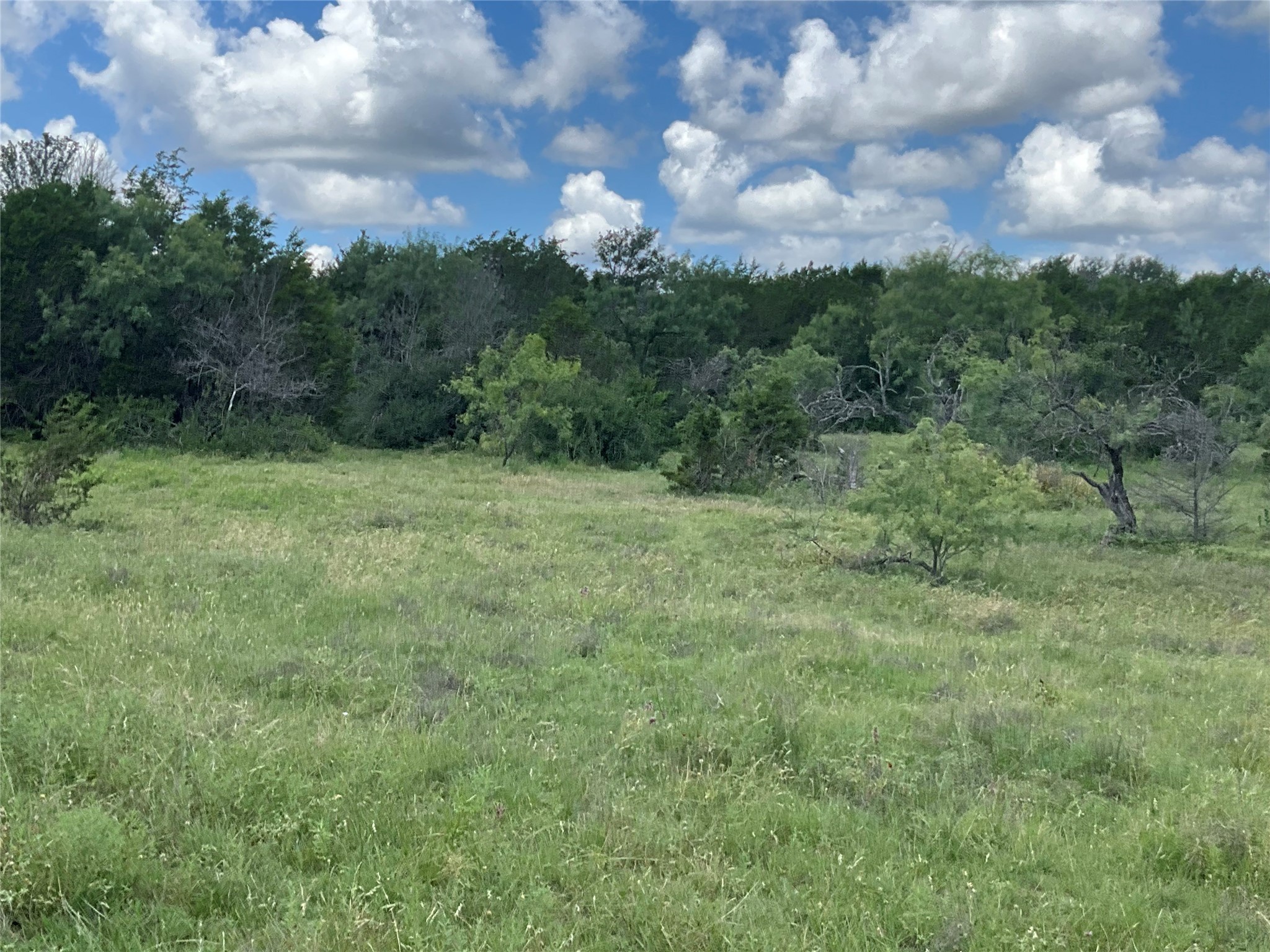 Tbd Fm 2486 Gustine TX 76455