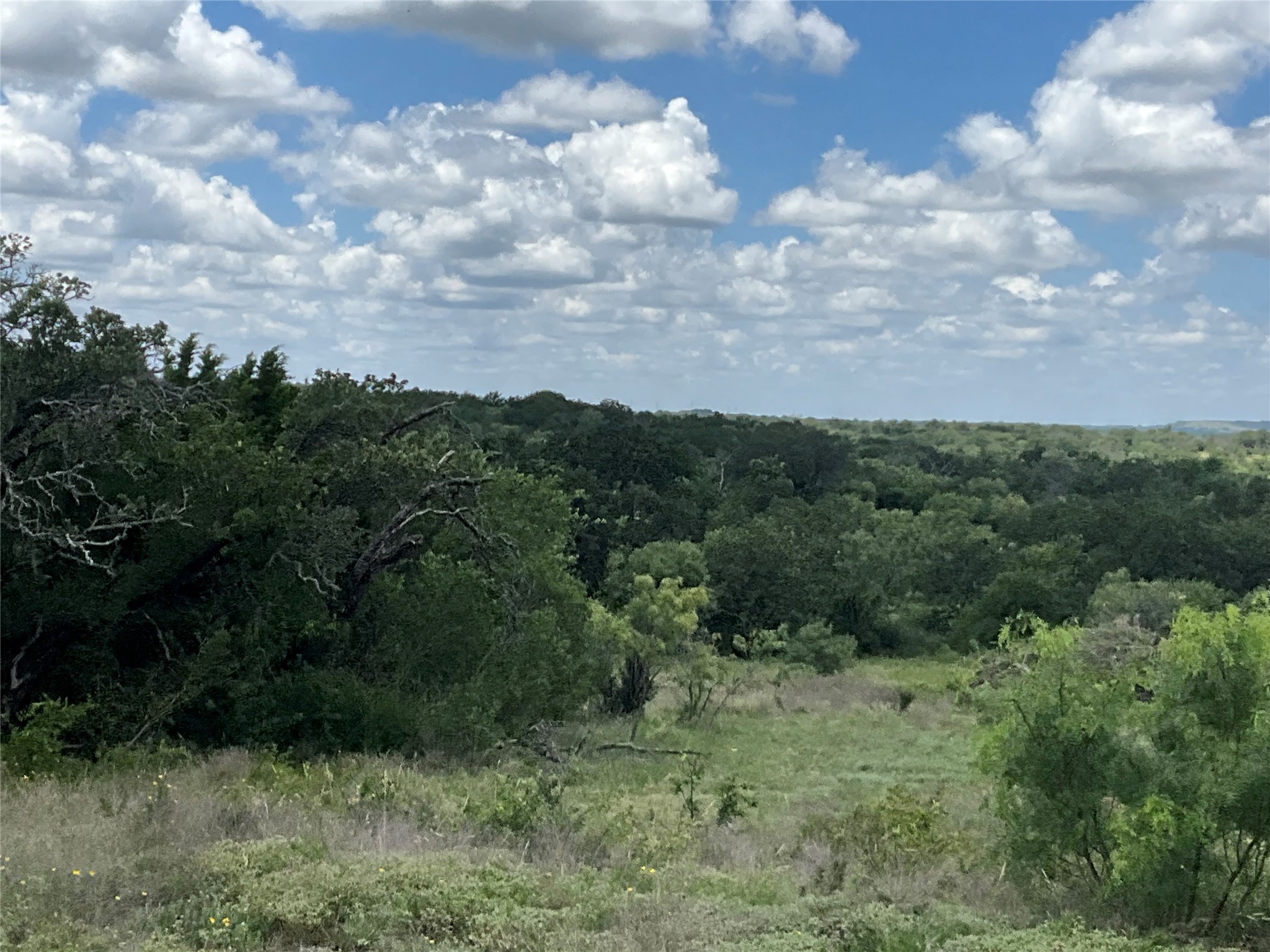 Tbd Fm 2486 Gustine TX 76455