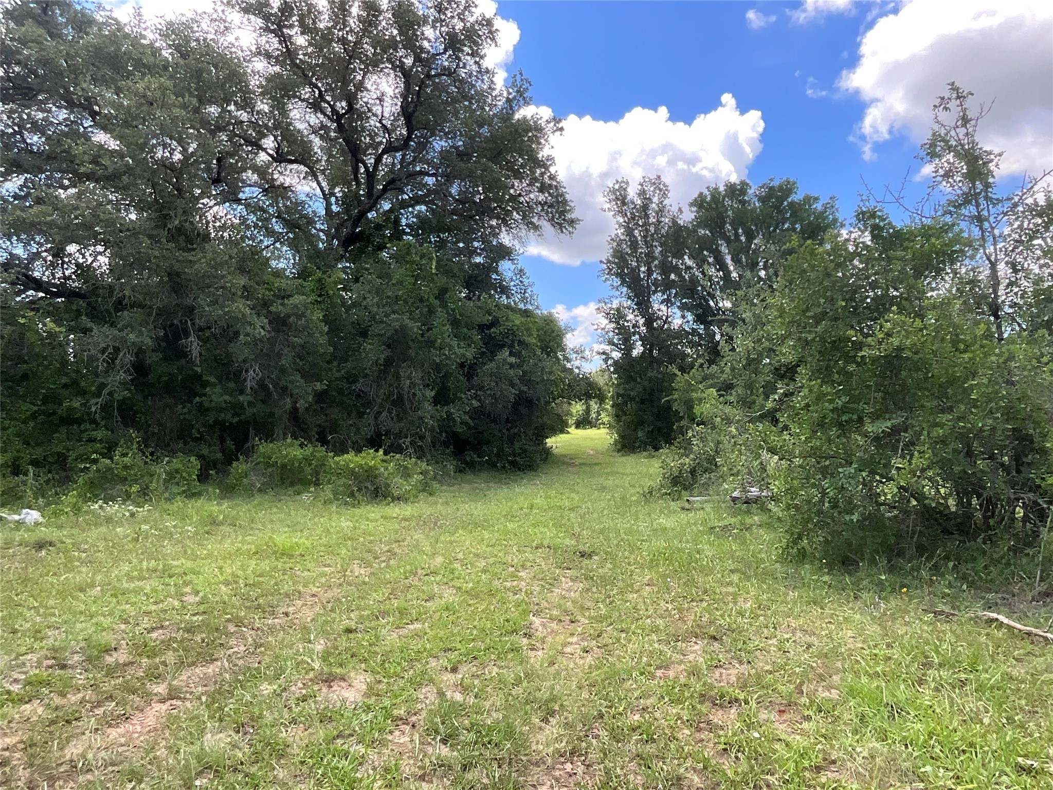 Tbd Fm 2486 Gustine TX 76455