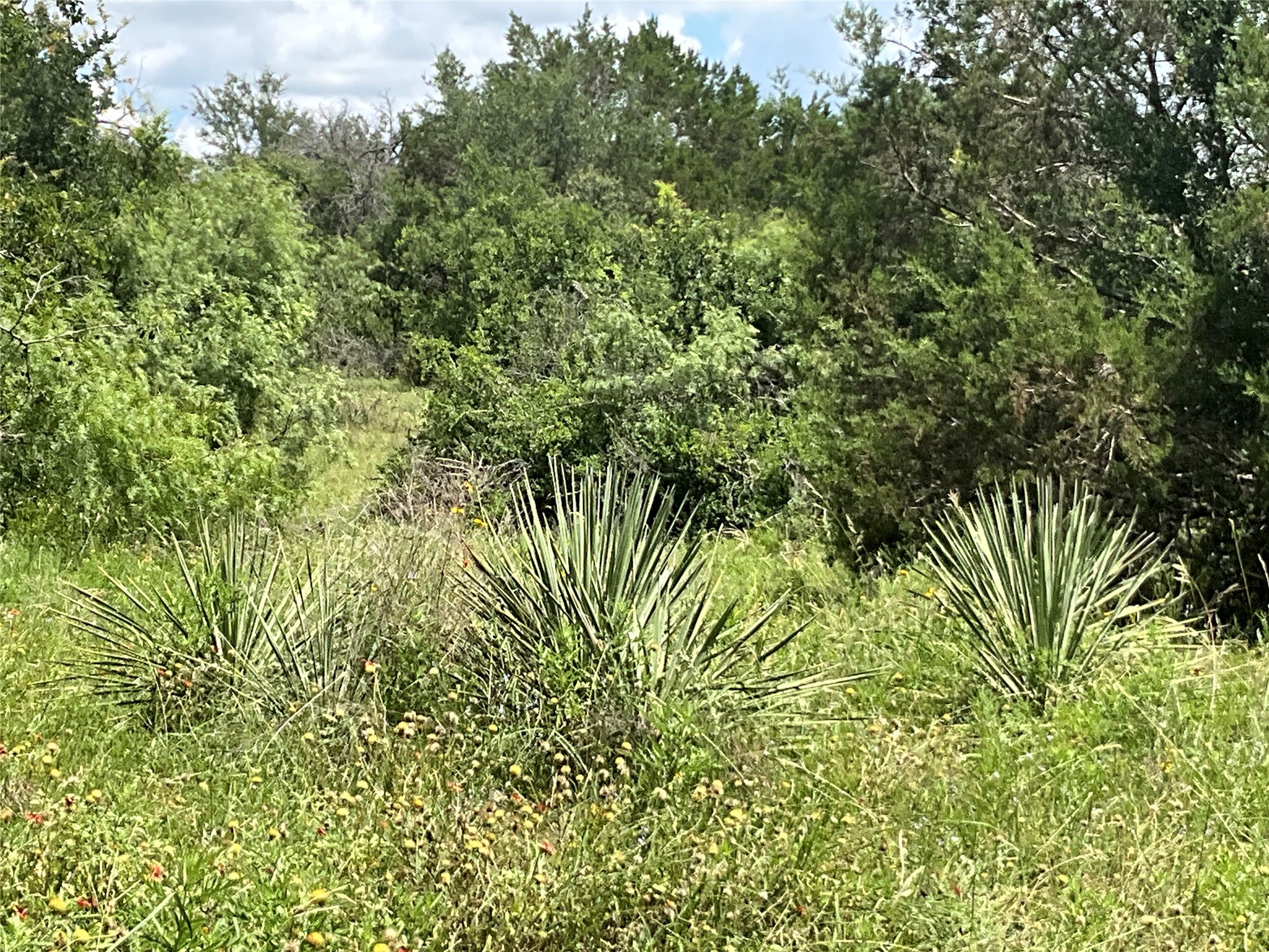 Tbd Fm 2486 Gustine TX 76455