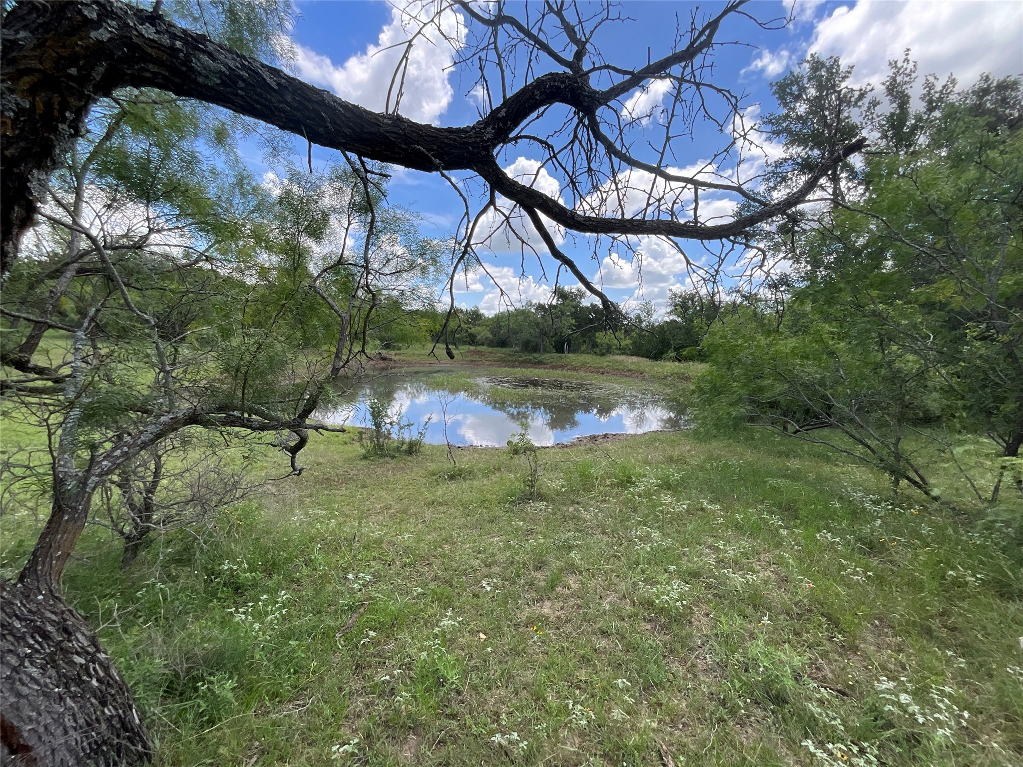 Tbd Fm 2486 Gustine TX 76455