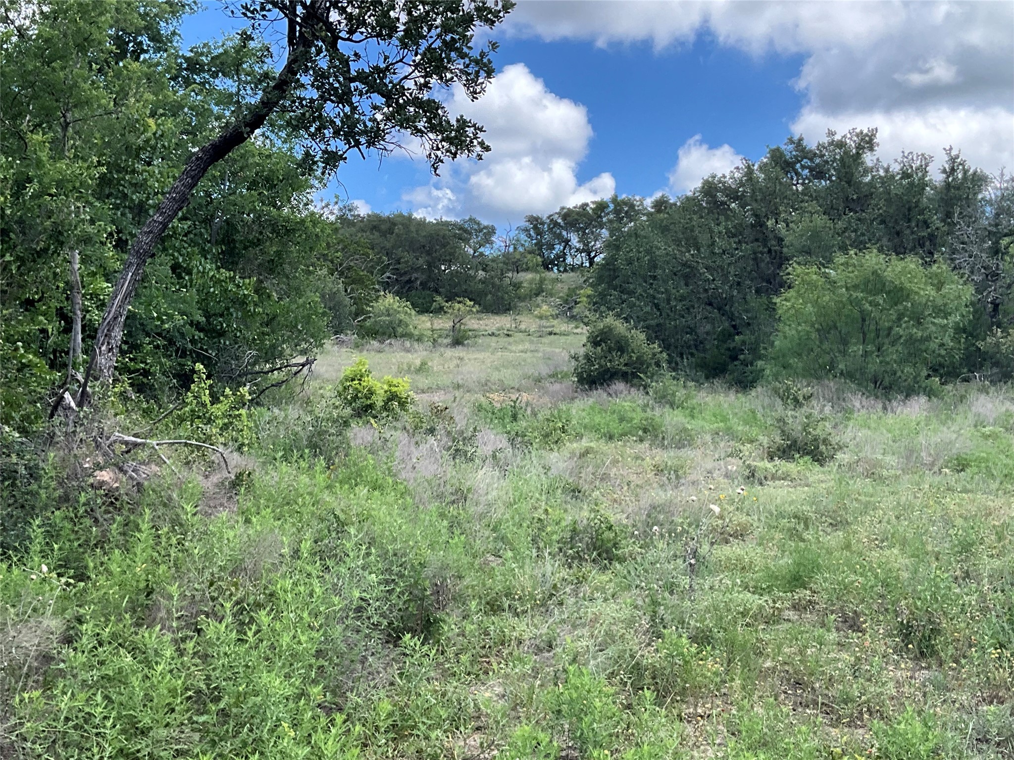 Tbd Fm 2486 Gustine TX 76455