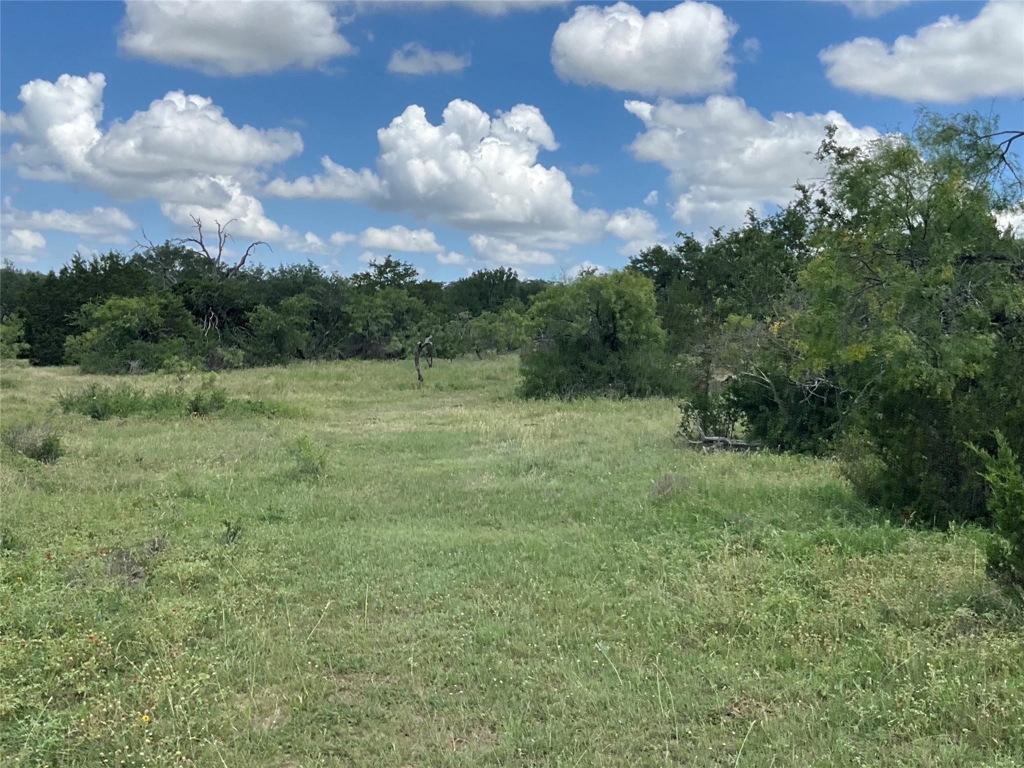 Tbd Fm 2486 Gustine TX 76455