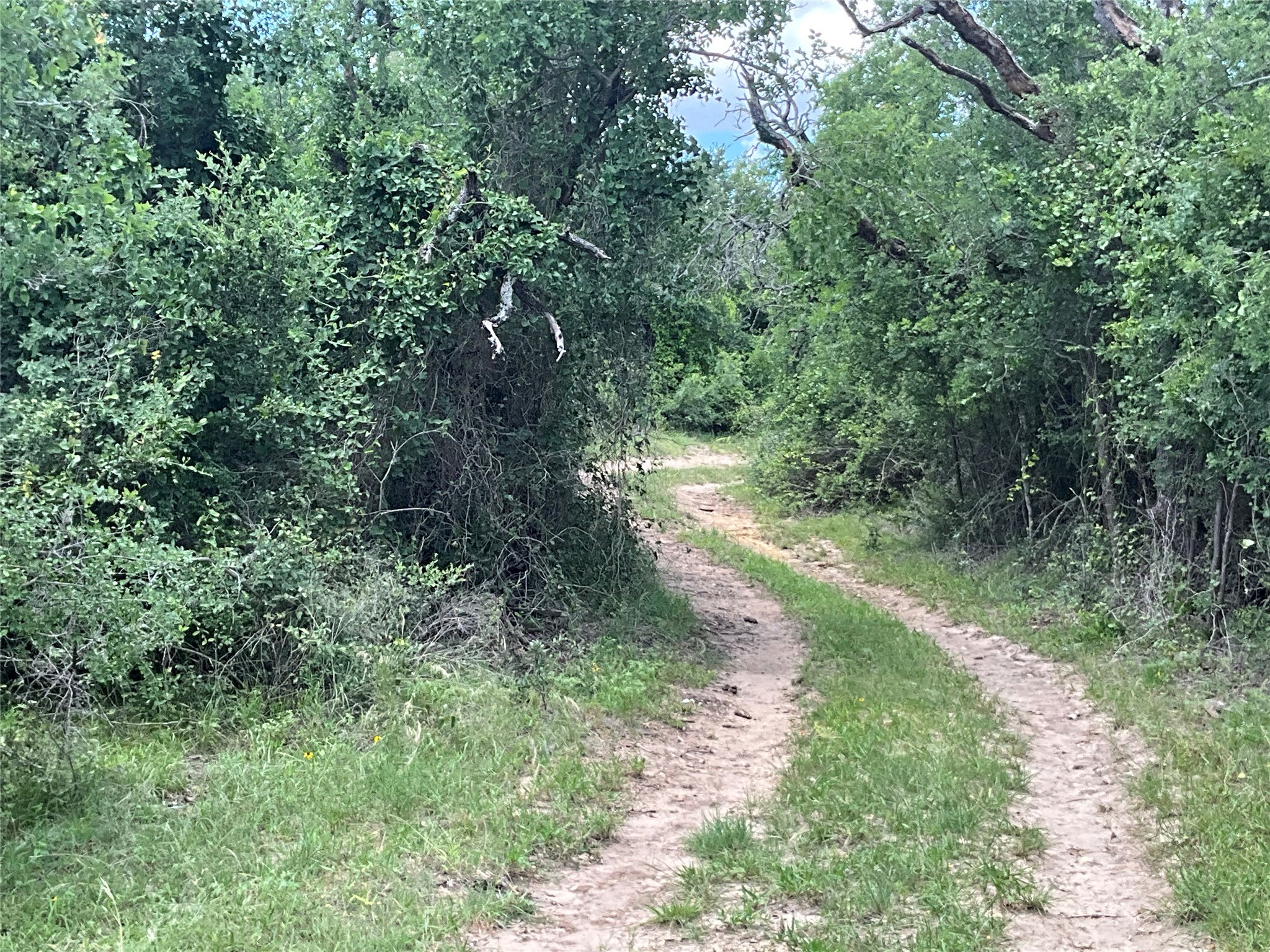 Tbd Fm 2486 Gustine TX 76455