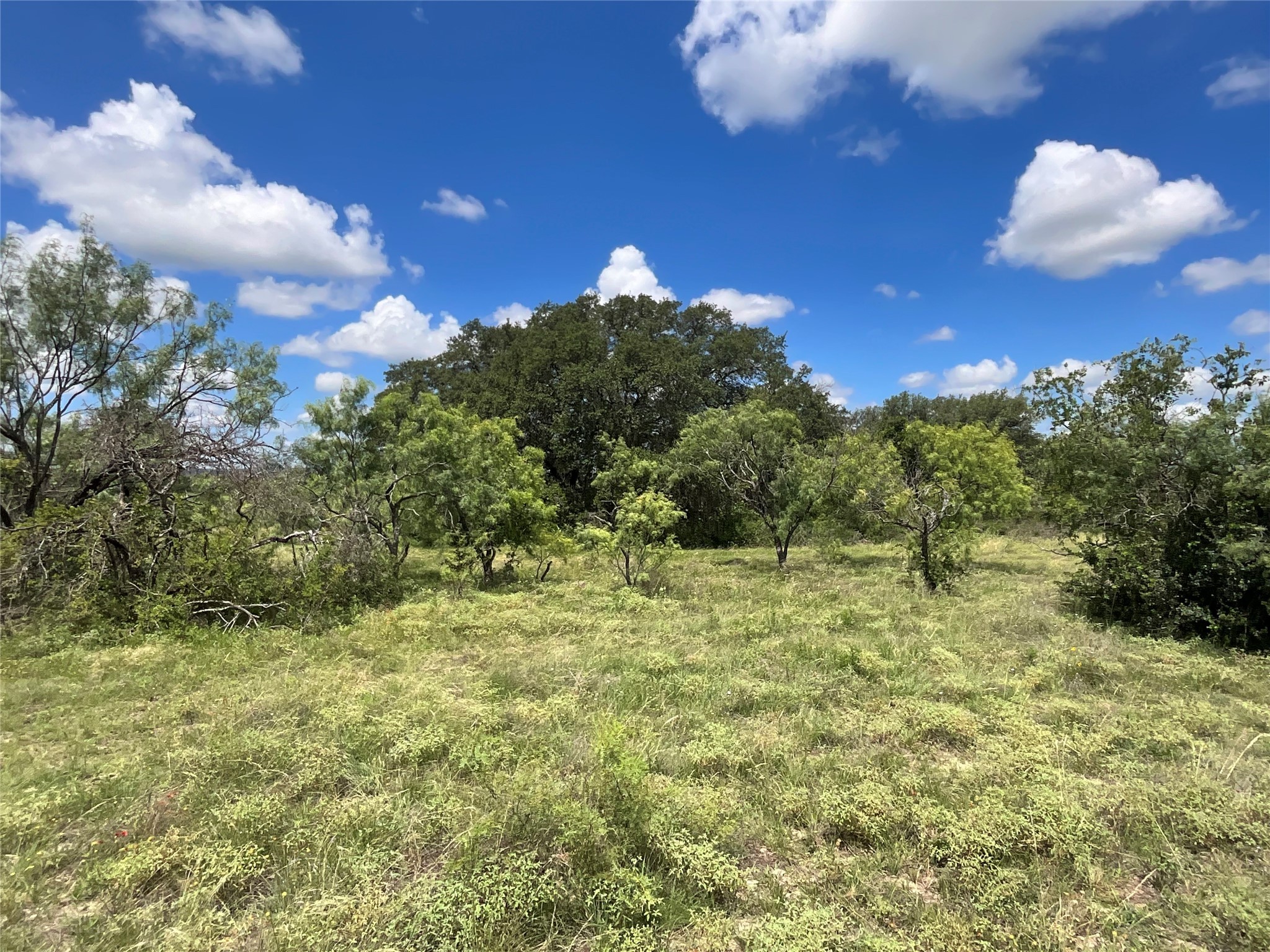 Tbd Fm 2486 Gustine TX 76455