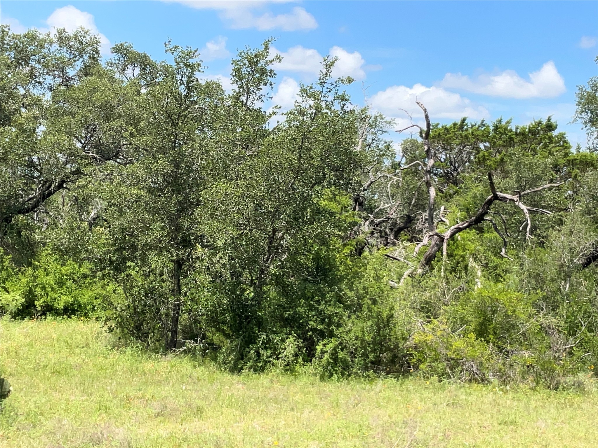 Tbd Fm 2486 Gustine TX 76455