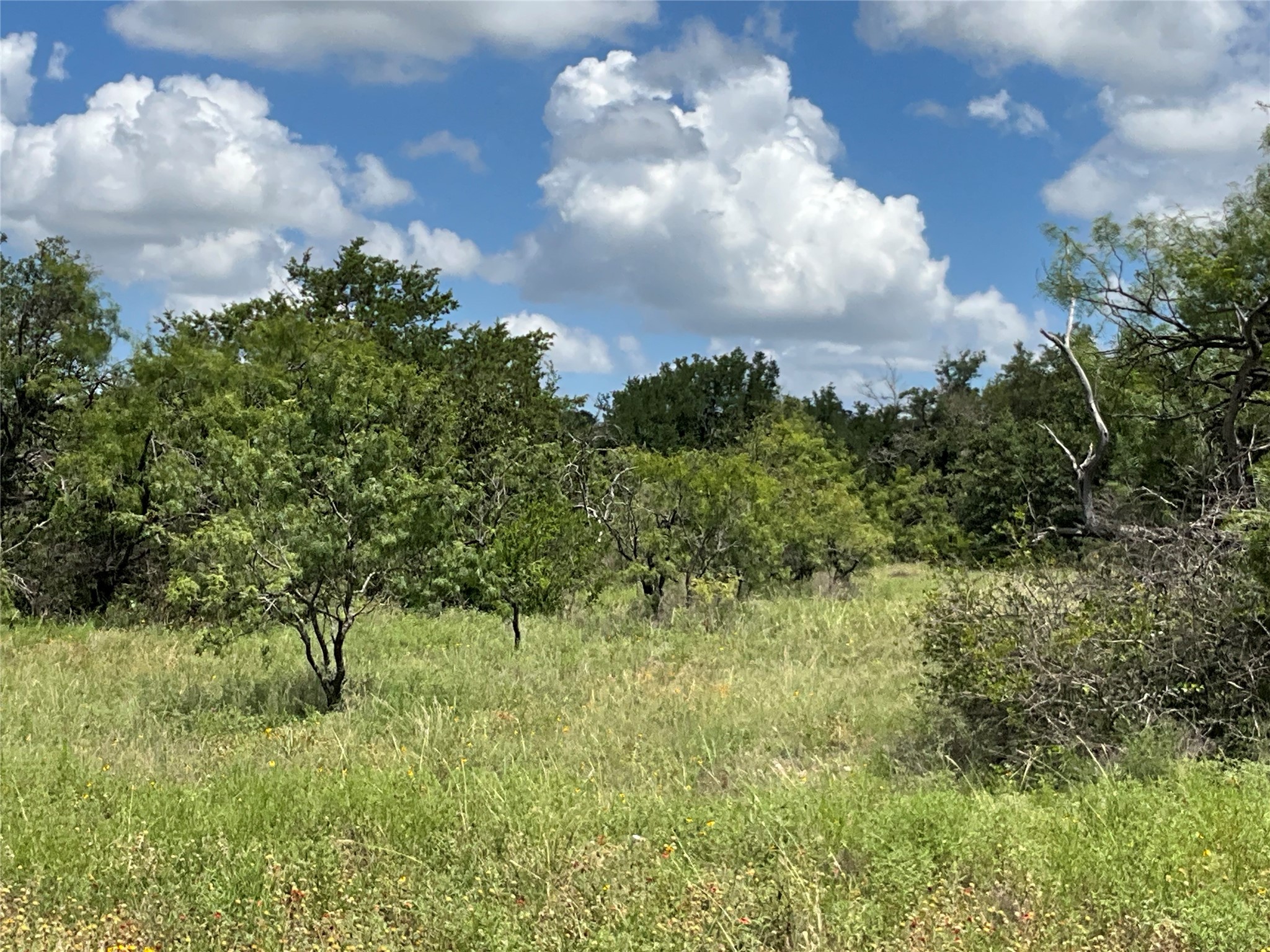 Tbd Fm 2486 Gustine TX 76455