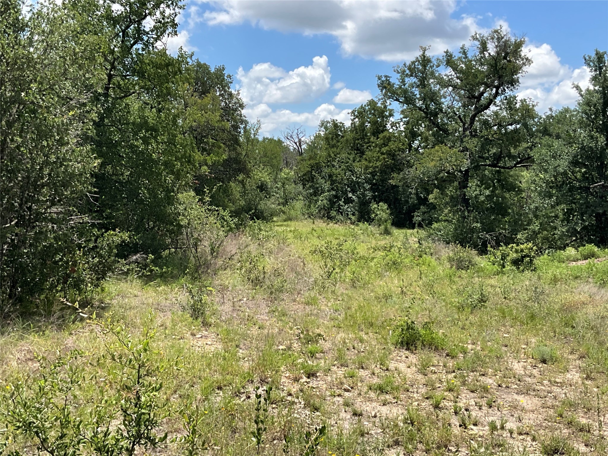 Tbd Fm 2486 Gustine TX 76455