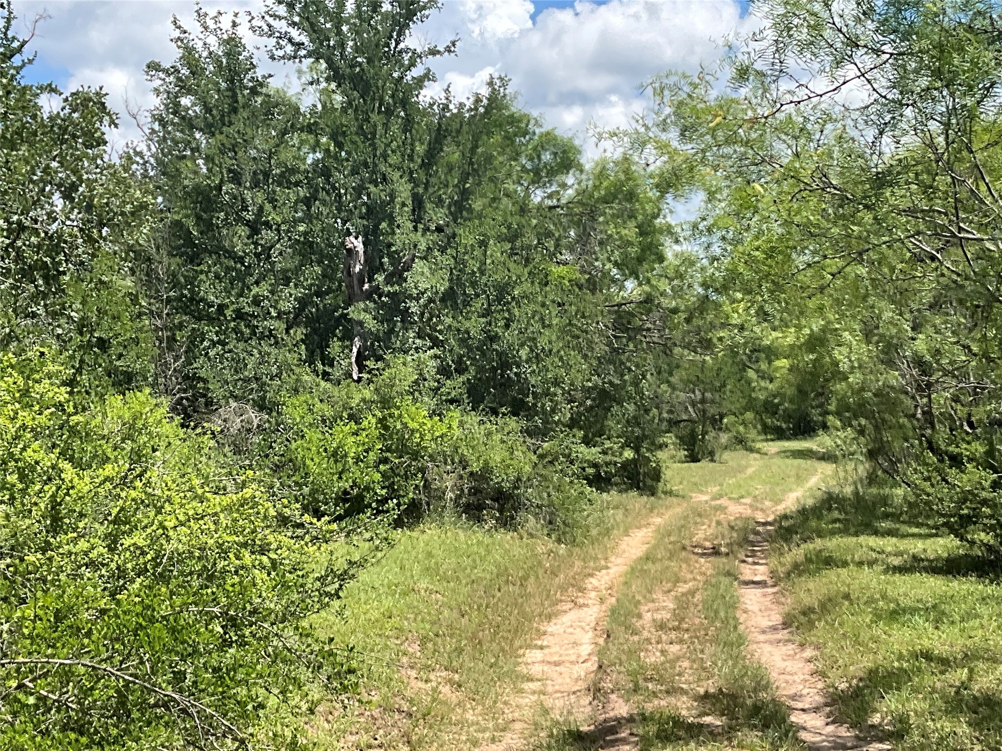 Tbd Fm 2486 Gustine TX 76455