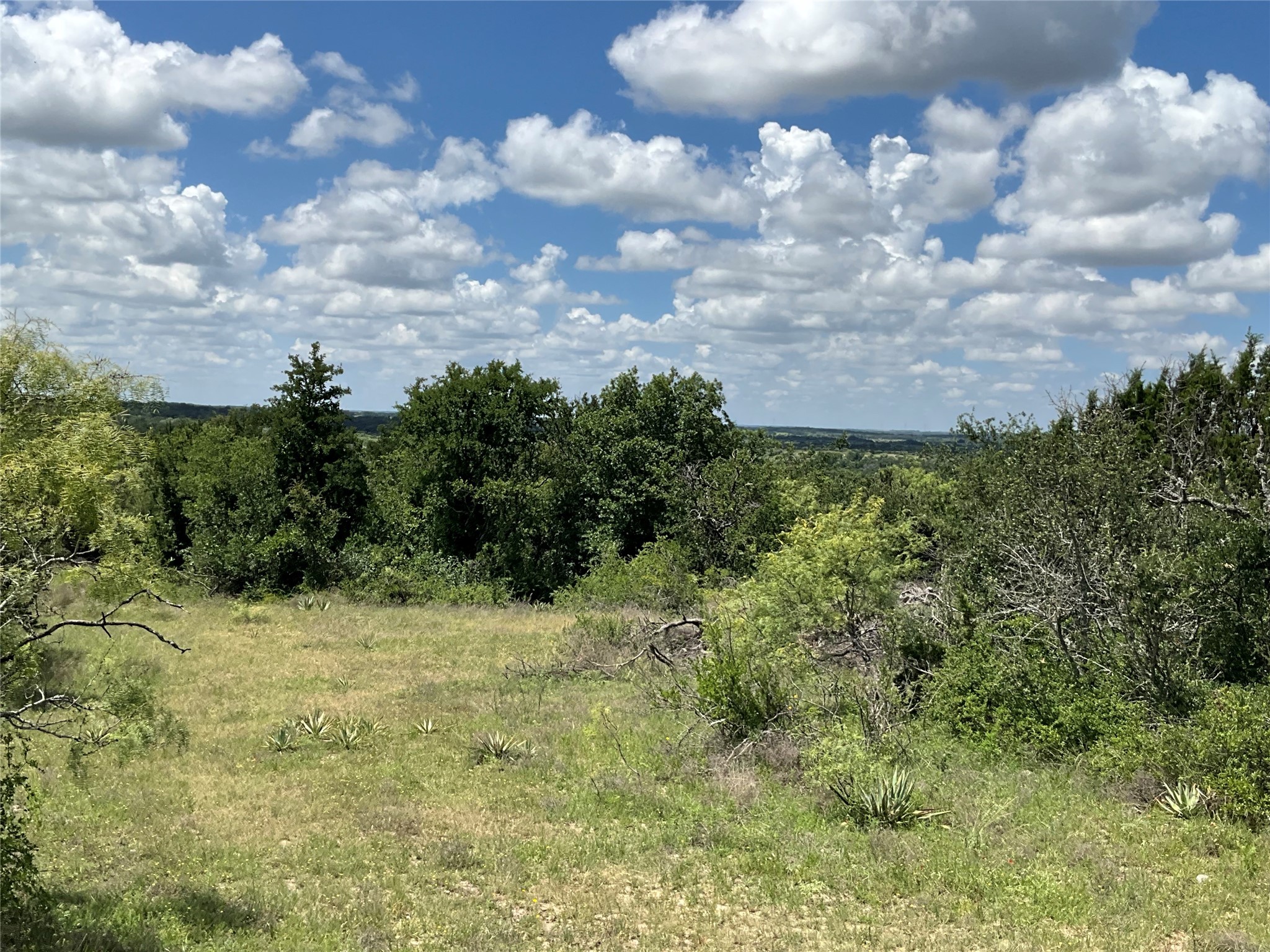 Tbd Fm 2486 Gustine TX 76455
