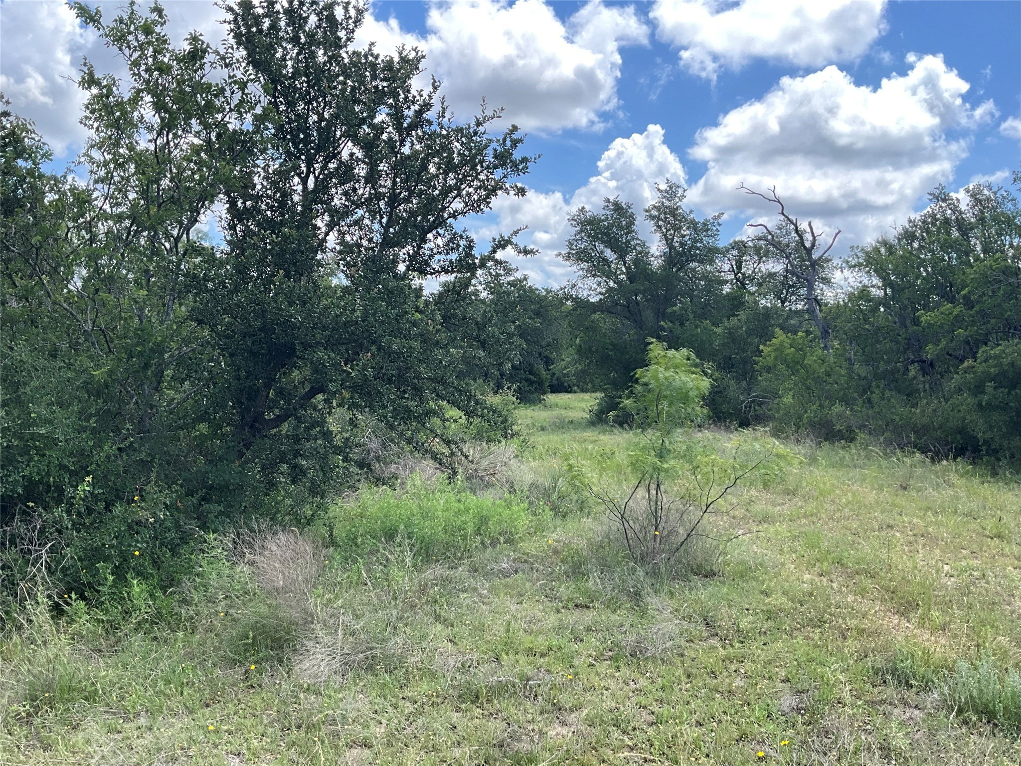 Tbd Fm 2486 Gustine TX 76455