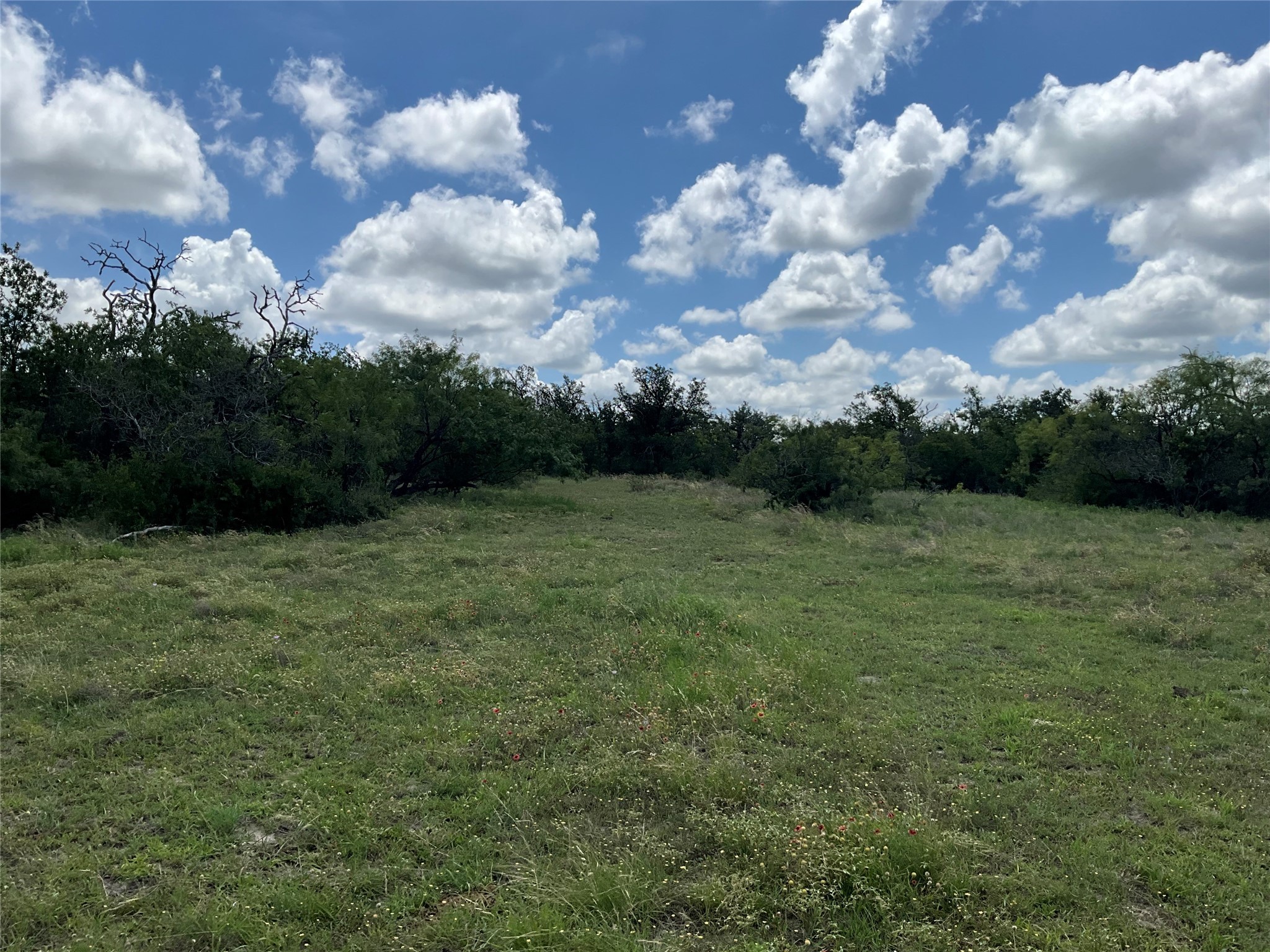 Tbd Fm 2486 Gustine TX 76455