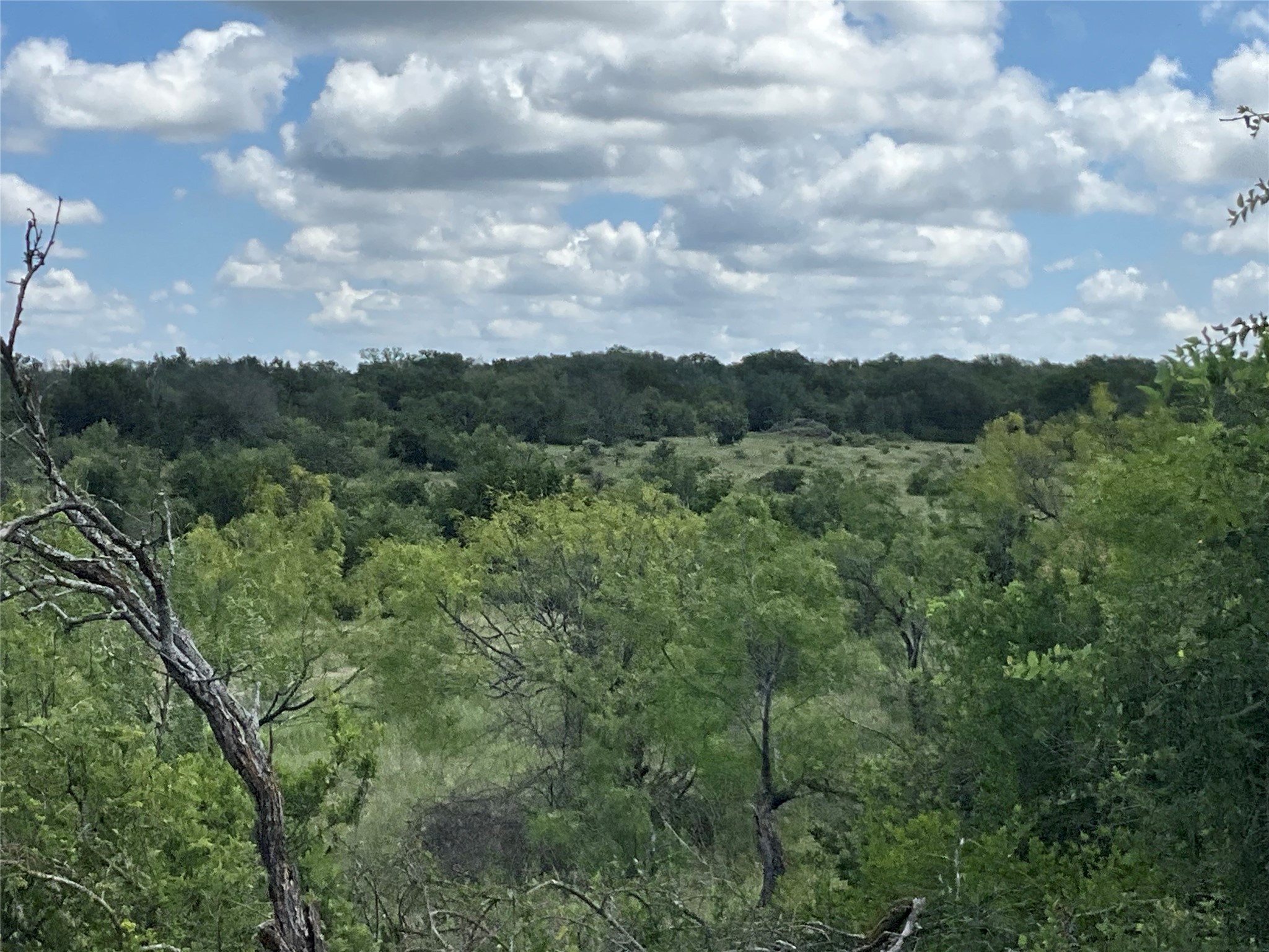 Tbd Fm 2486 Gustine TX 76455