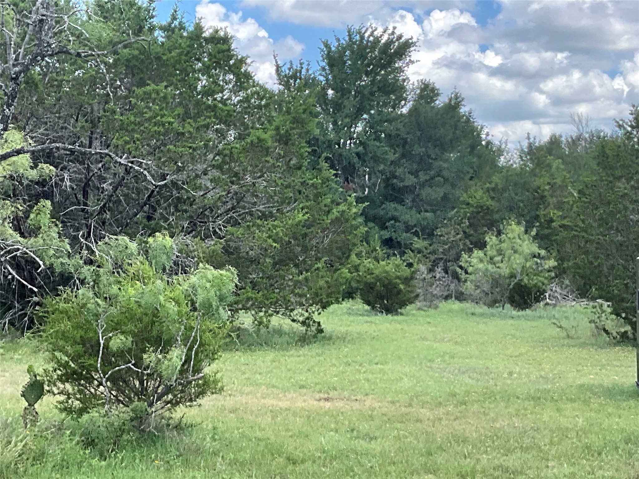 Tbd Fm 2486 Gustine TX 76455