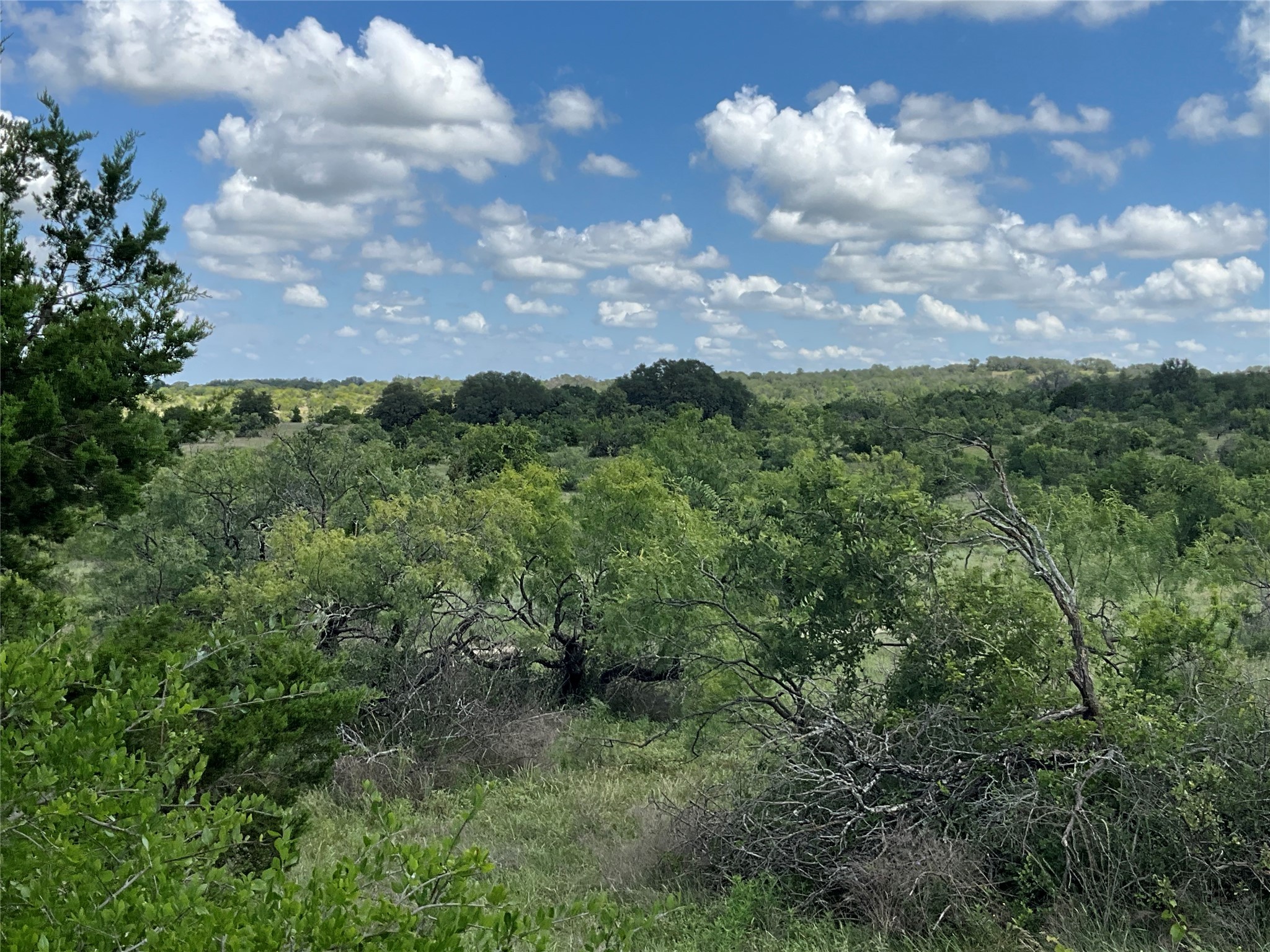 Tbd Fm 2486 Gustine TX 76455