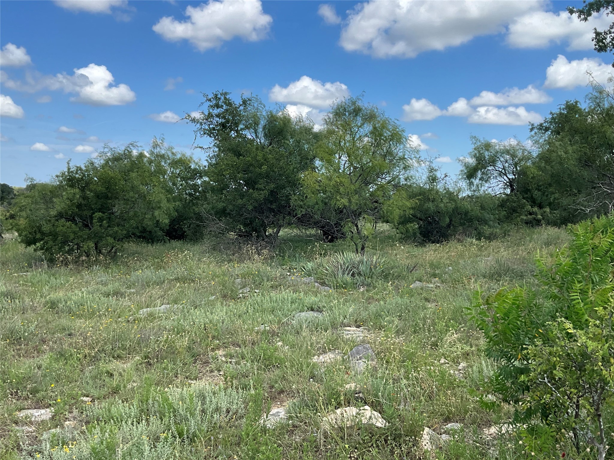 Tbd Fm 2486 Gustine TX 76455