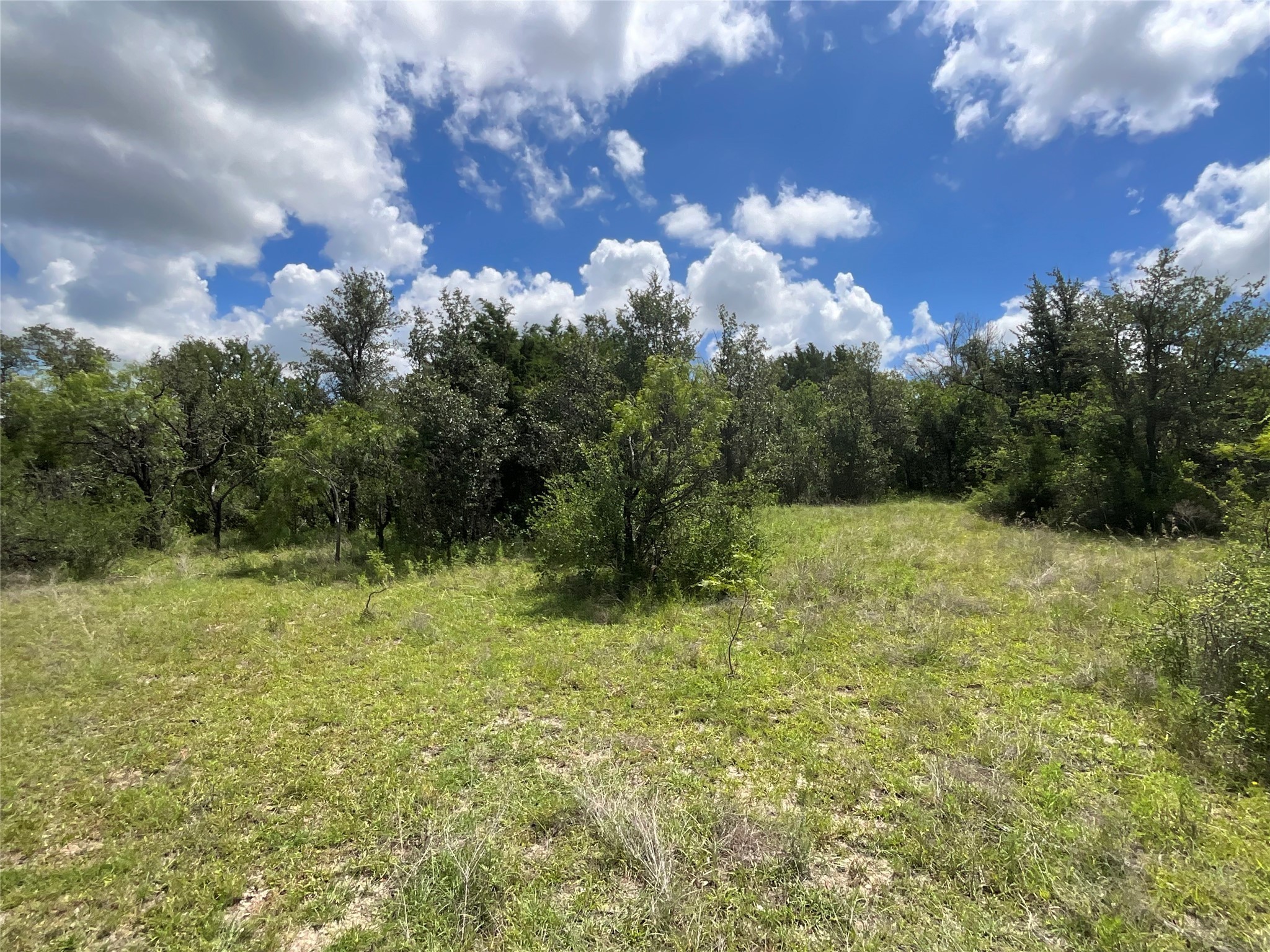 Tbd Fm 2486 Gustine TX 76455