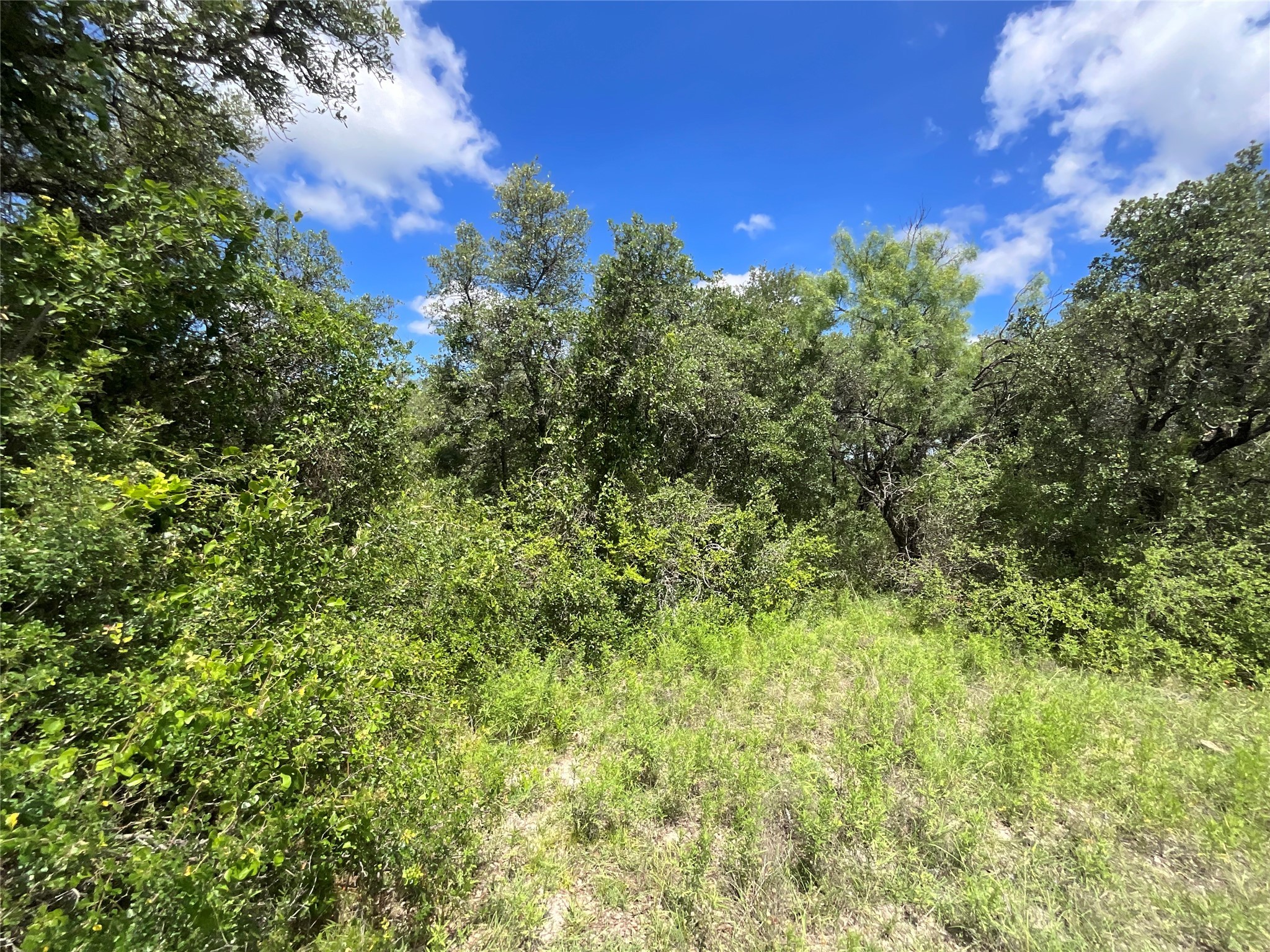 Tbd Fm 2486 Gustine TX 76455
