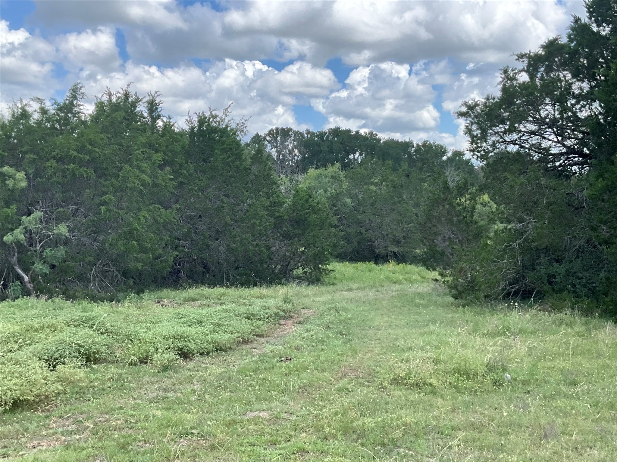 Tbd Fm 2486 Gustine TX 76455