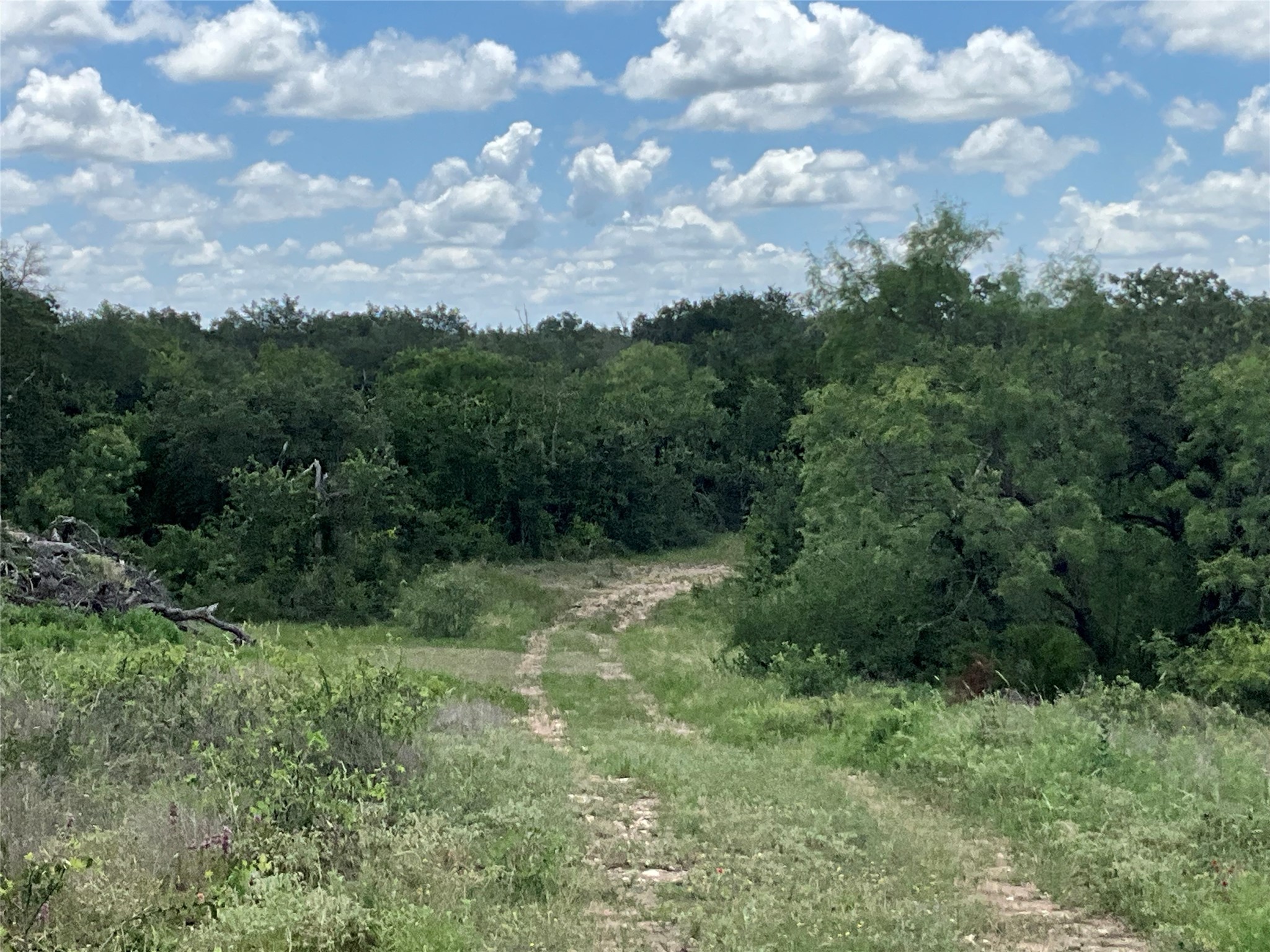 Tbd Fm 2486 Gustine TX 76455