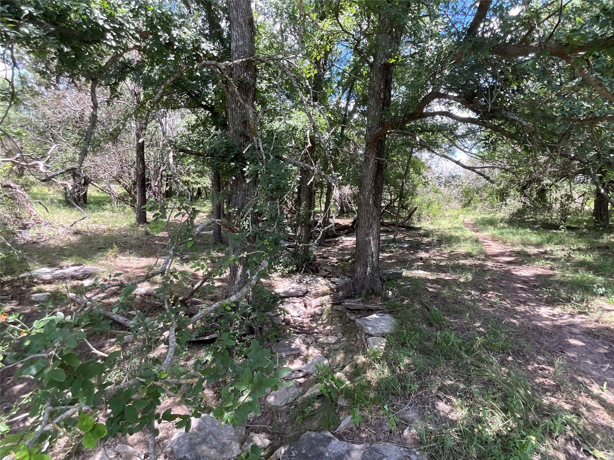 Tbd Fm 2486 Gustine TX 76455