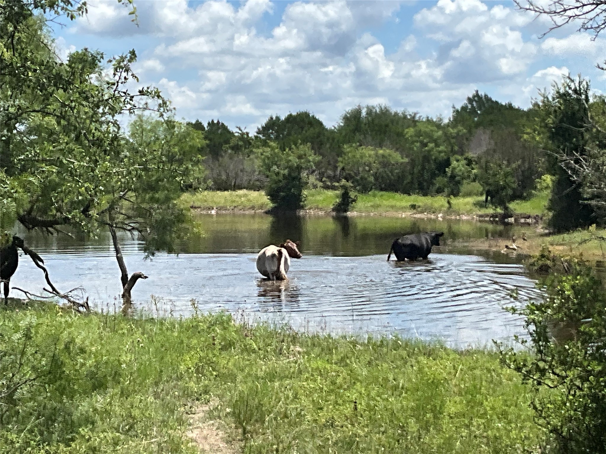 Tbd Fm 2486 Gustine TX 76455