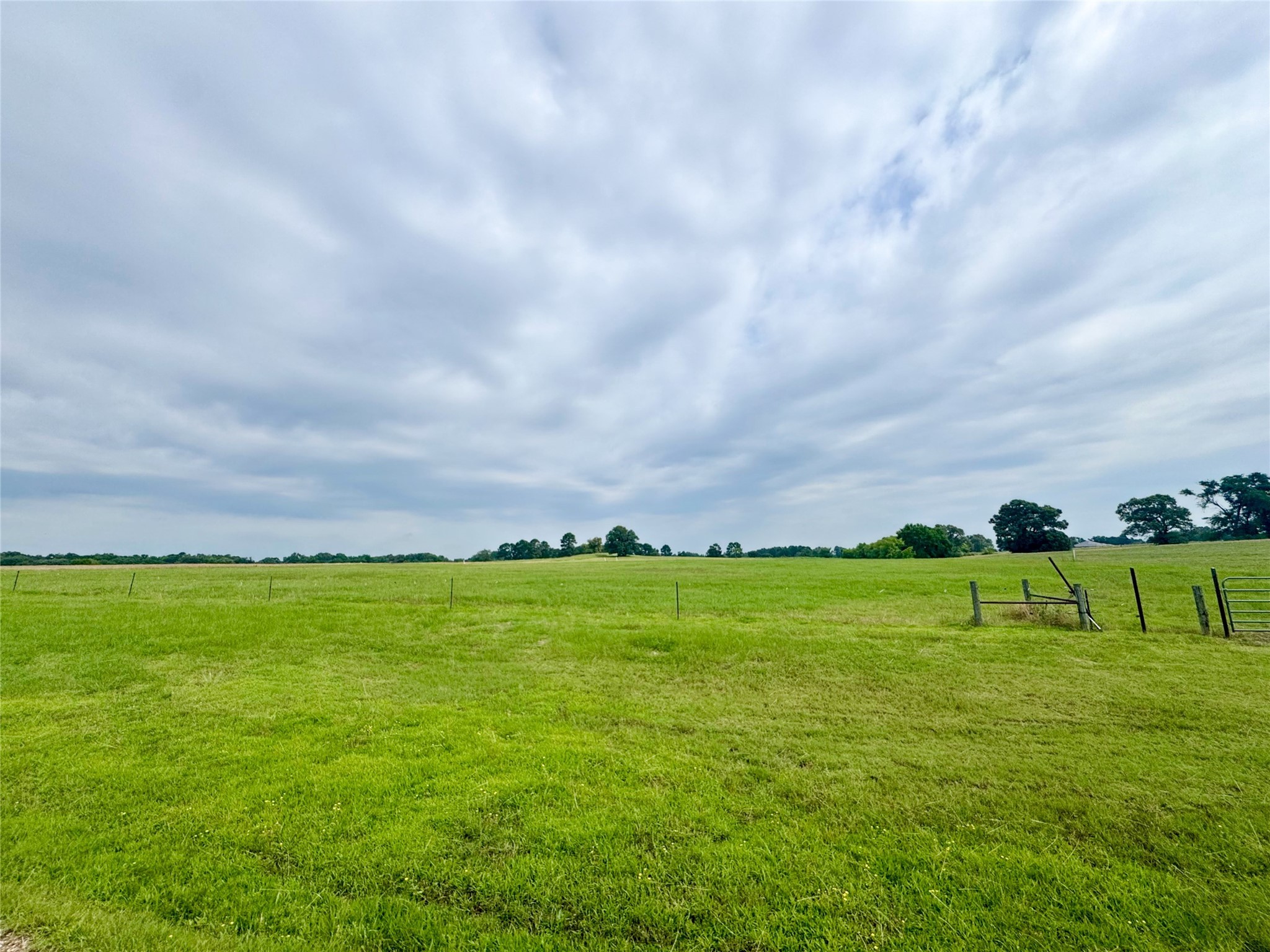 Lot 62 Cr 2320 Pittsburg TX 75686