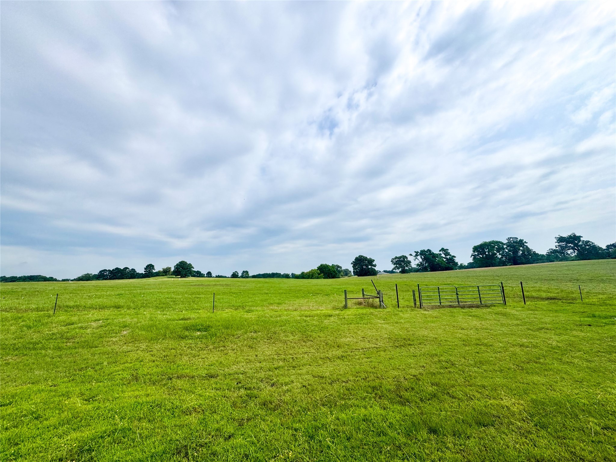 Lot 62 Cr 2320 Pittsburg TX 75686