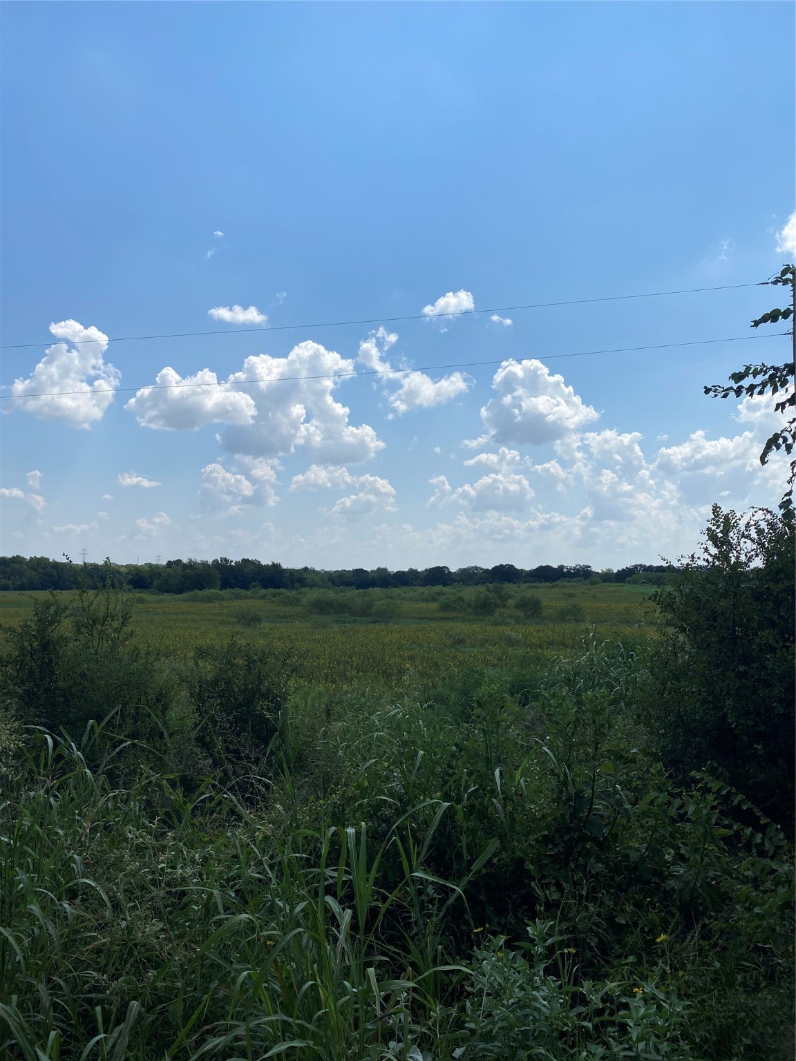 Tbd County Road 703a Alvarado TX 76009