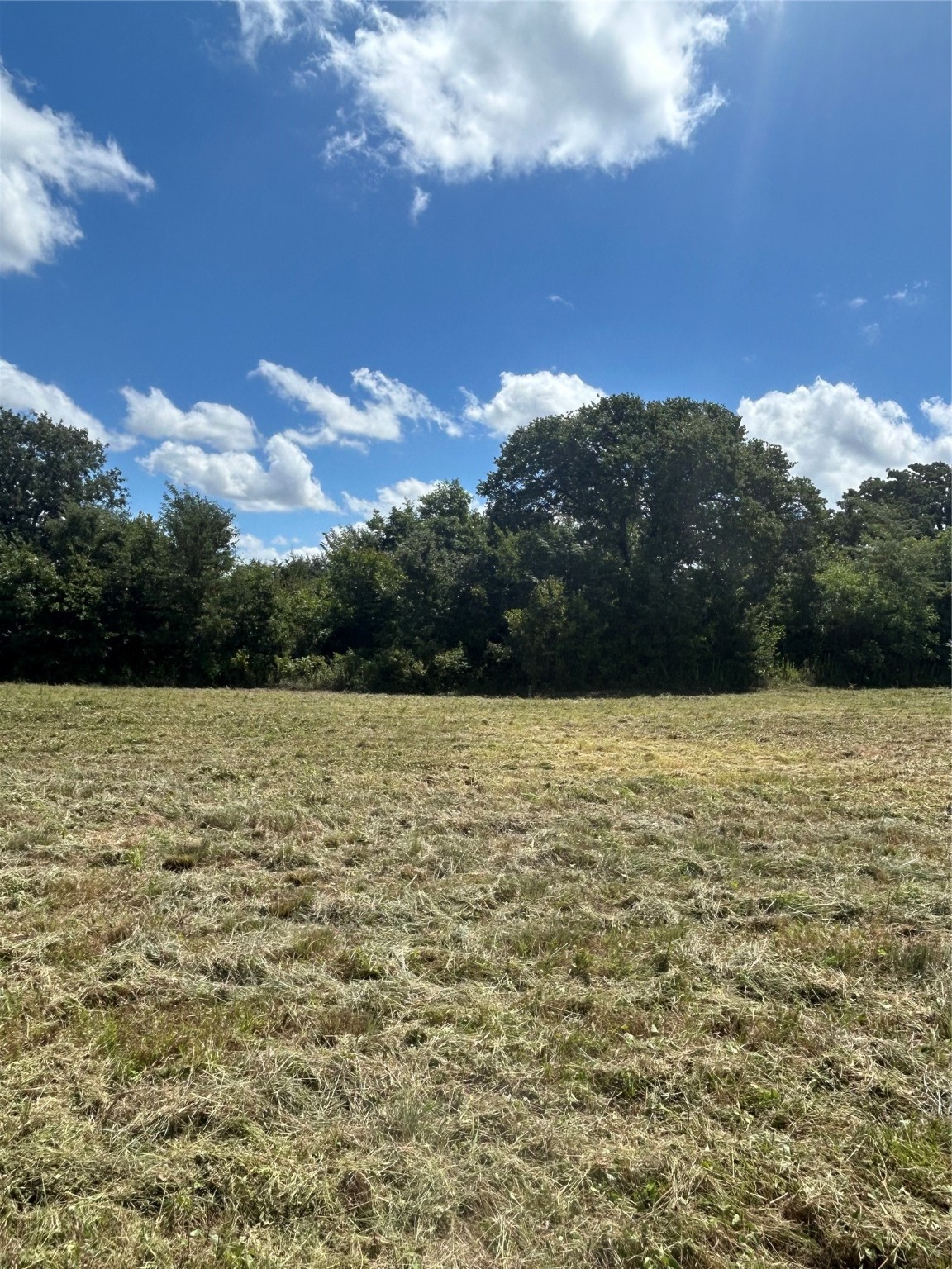Tbd County Road 703a Alvarado TX 76009
