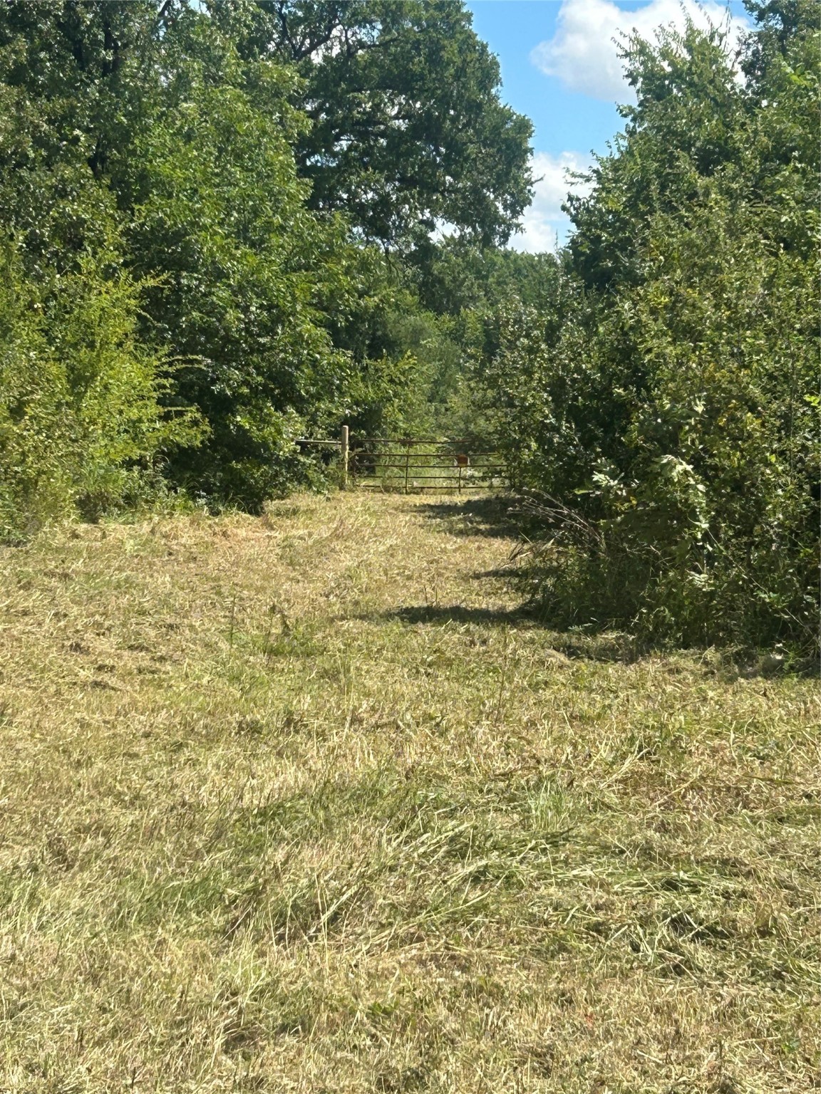 Tbd County Road 703a Alvarado TX 76009