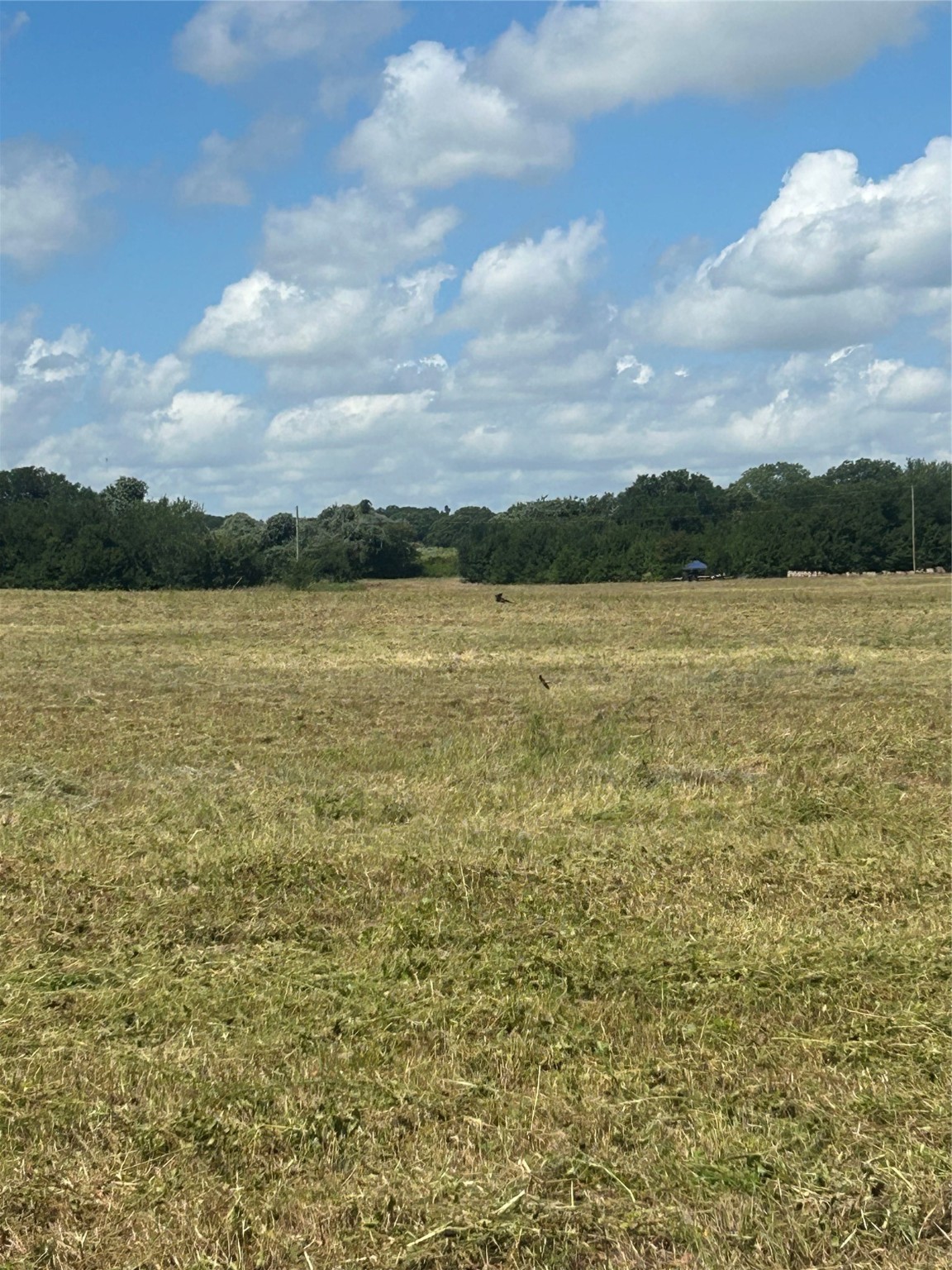 Tbd County Road 703a Alvarado TX 76009