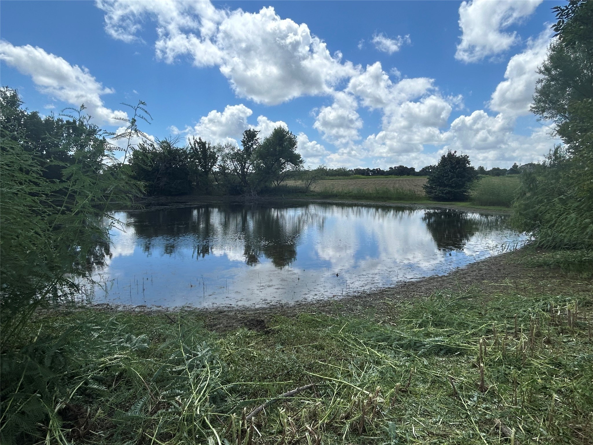 Tbd County Road 703a Alvarado TX 76009