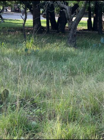 Lot 653 S Lakeside Drive May TX 76857