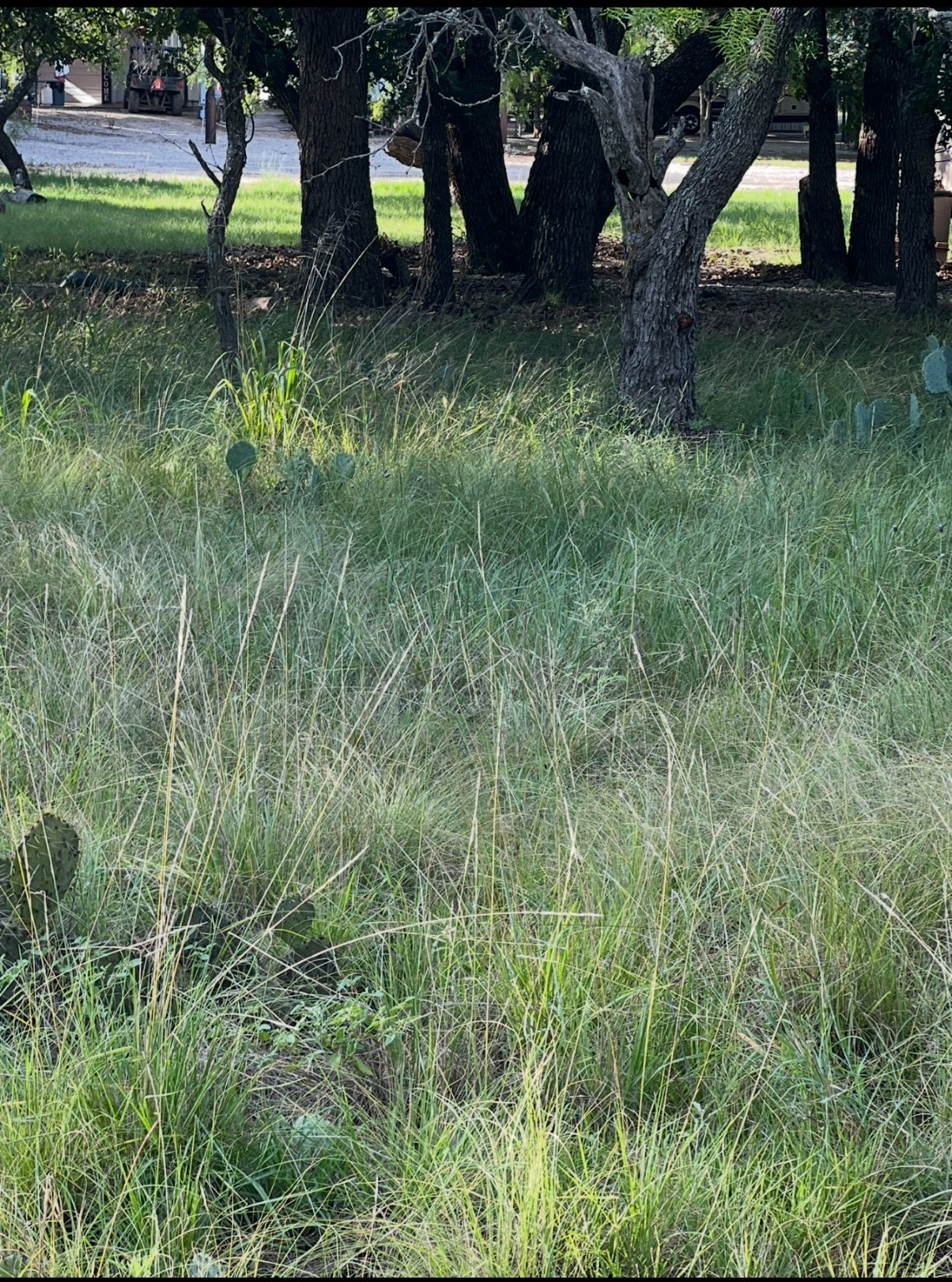 Lot 653 S Lakeside Drive May TX 76857