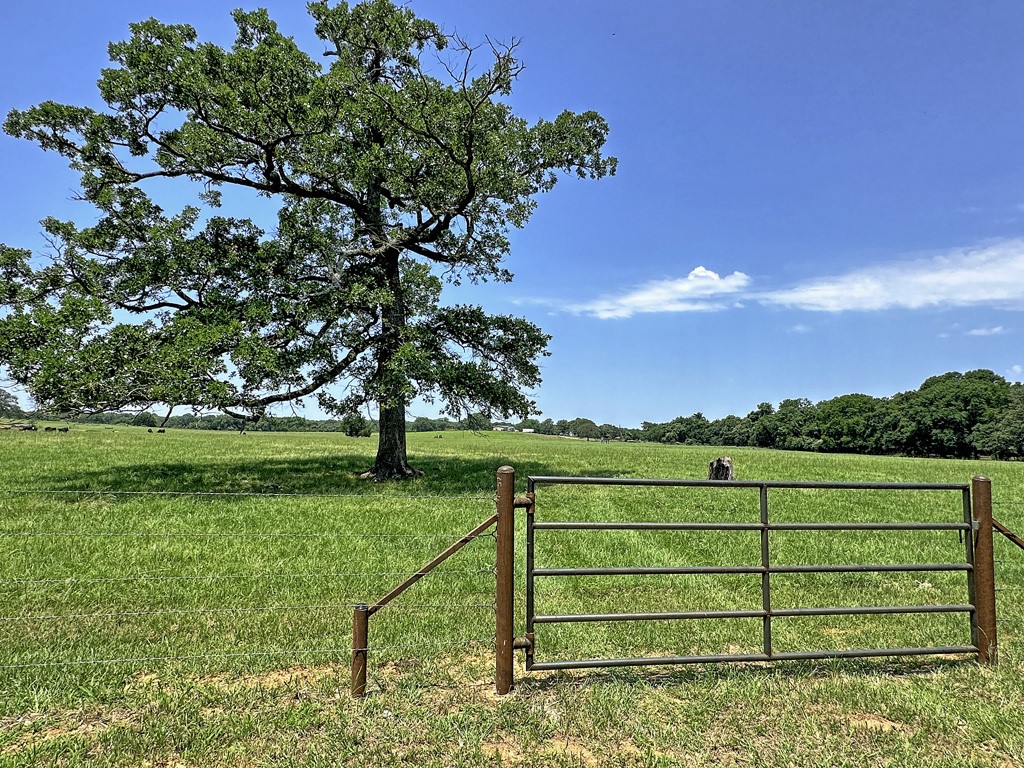 Tbd Cr-1127 Athens TX 75751